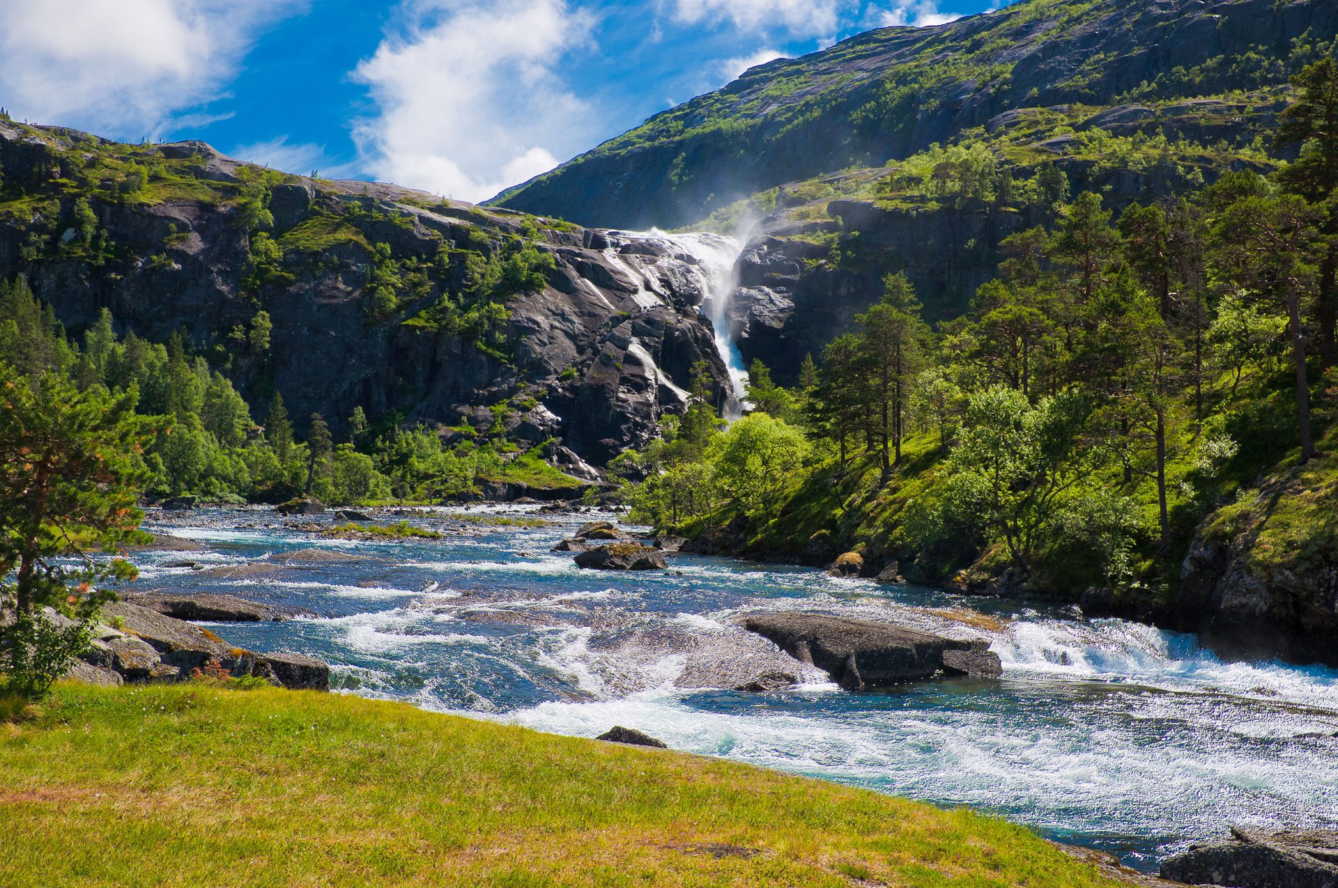 natur fluss felsen sommer