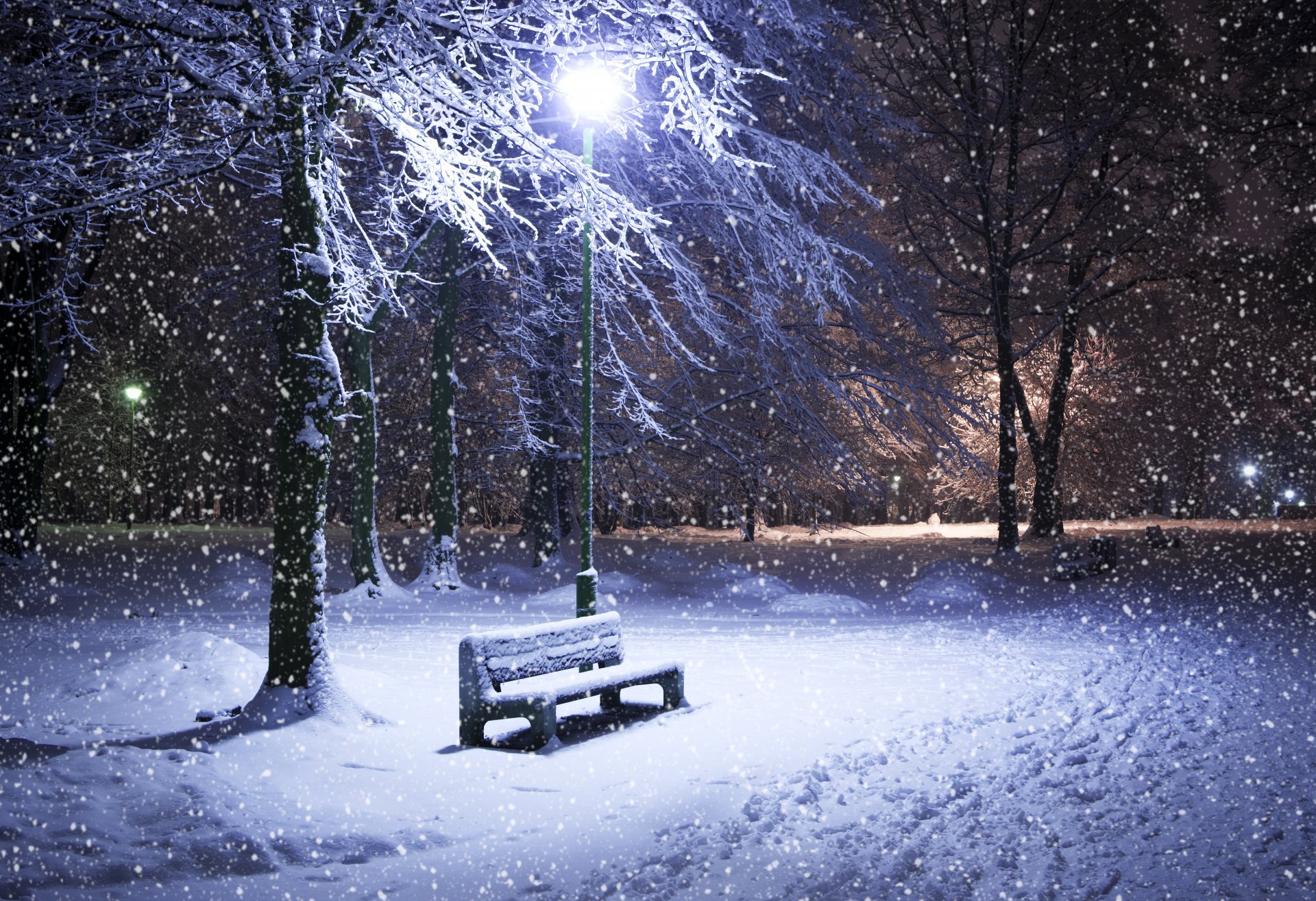 zima śnieg noc sklep drzewa park latarnia