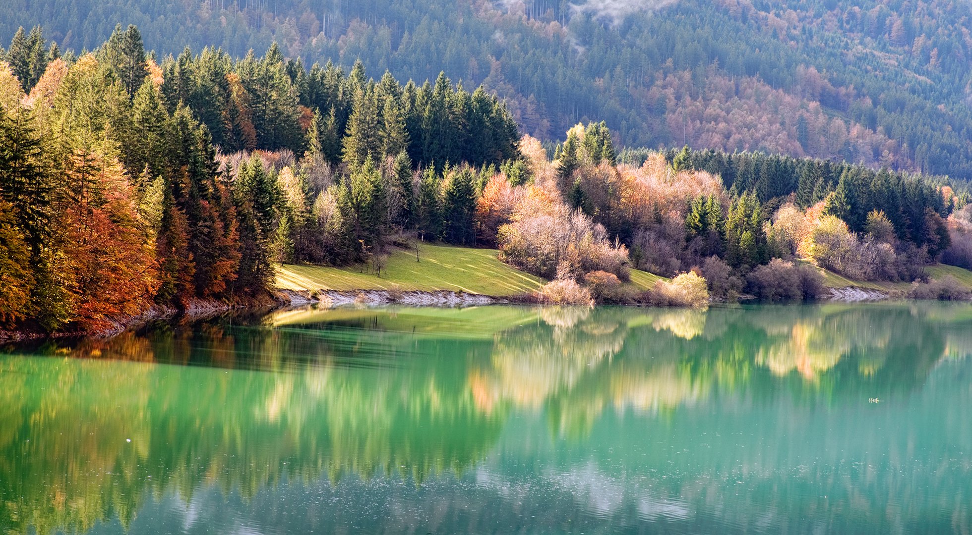 natura jesień rzeka brzeg las