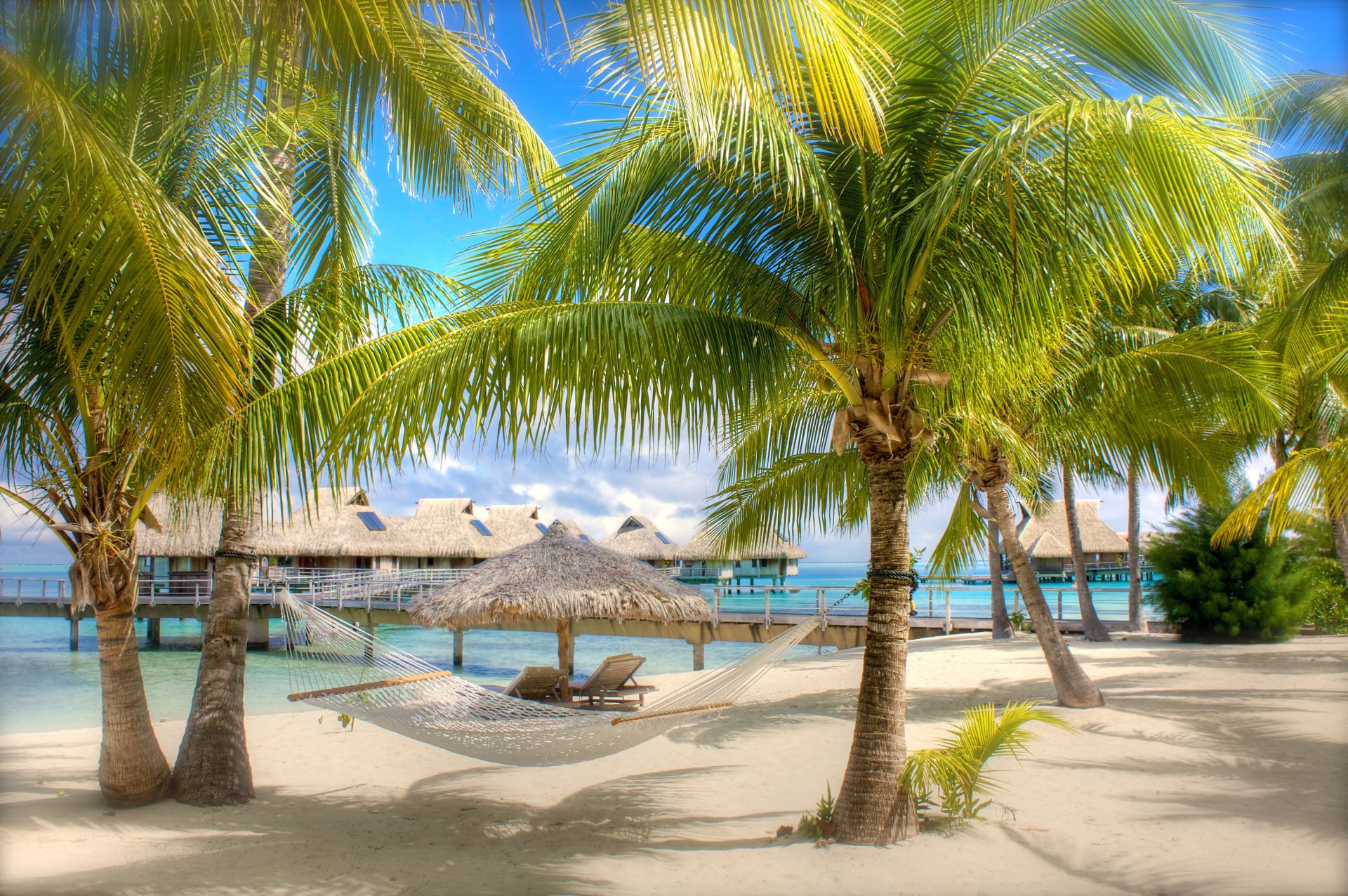 spiaggia sabbia palme amaca bungalow mare