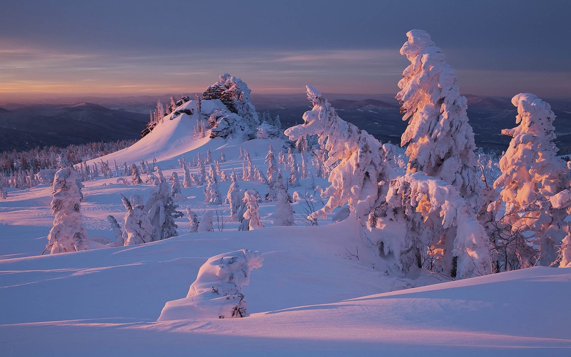 naturaleza invierno nieve bosque puesta de sol