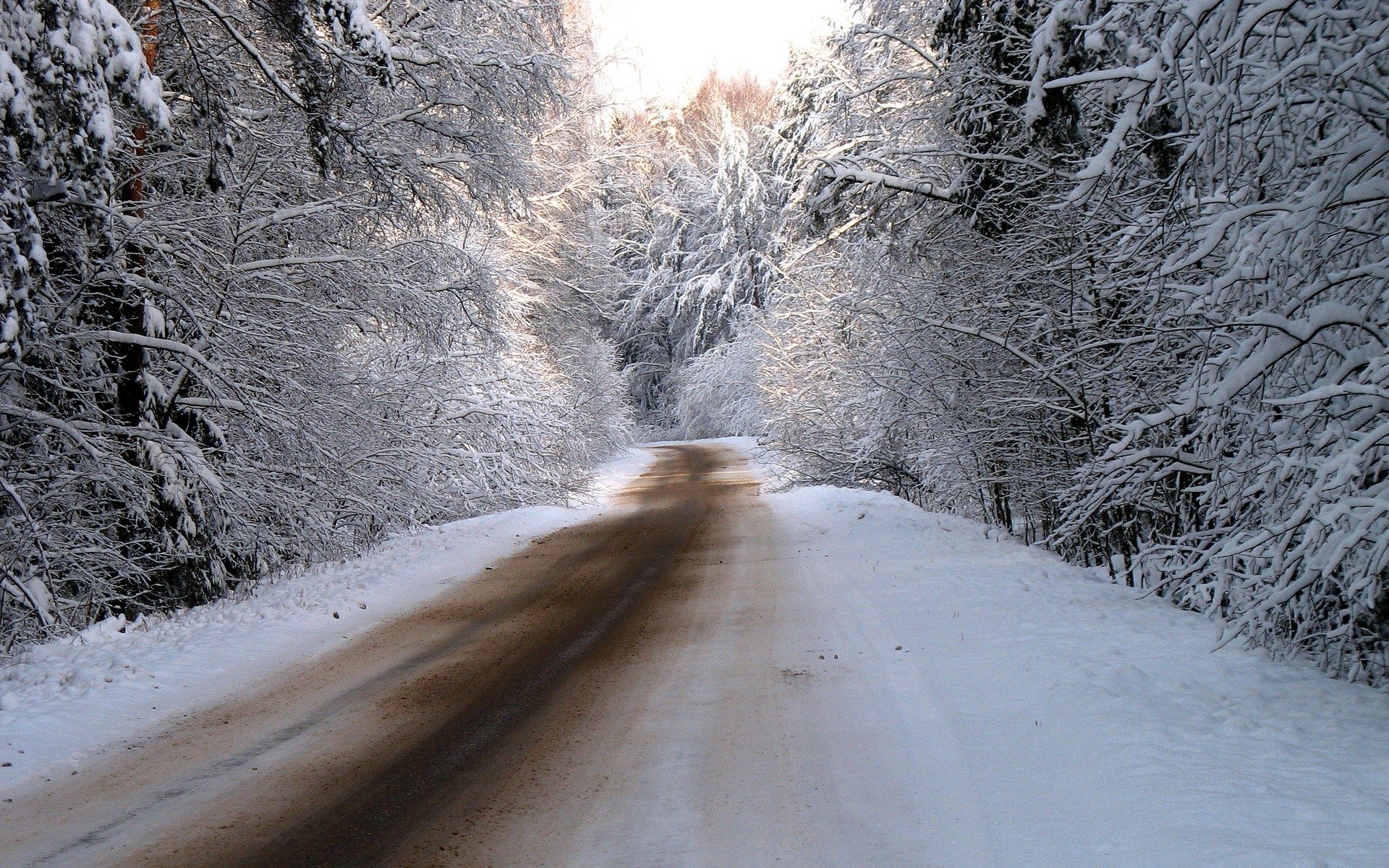 winter nature snow photos road roads forest tree