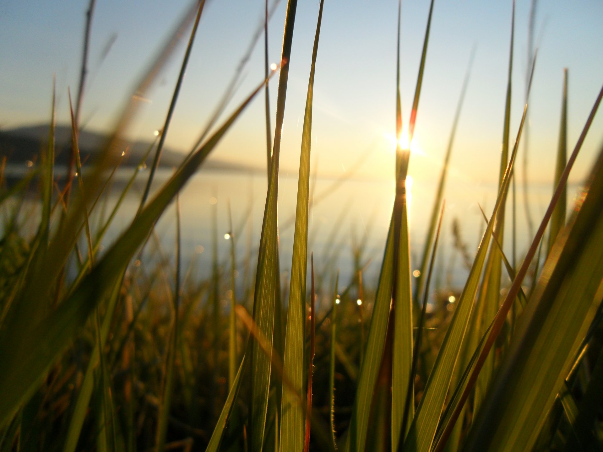 baïkal aube rosée herbe bonheur soleil rayons lac fraîcheur verdure chaleur