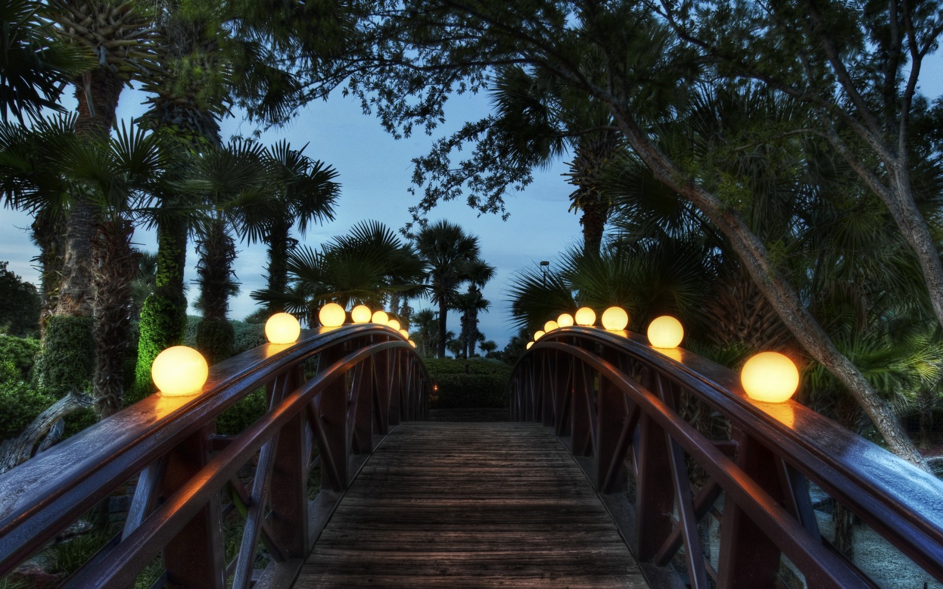 bridge night palm lamp