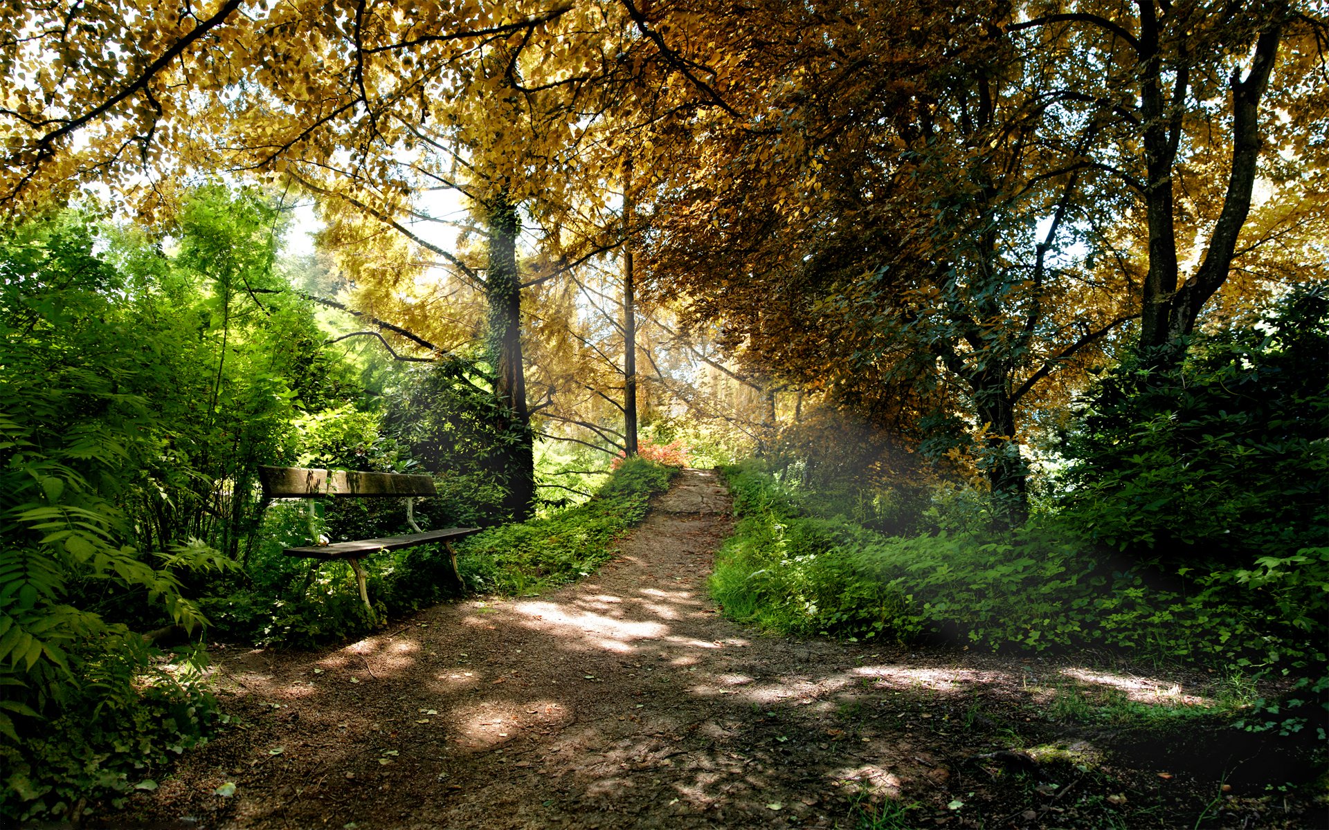 natur park wald bäume bank bänke bänke sitzgelegenheiten blätter