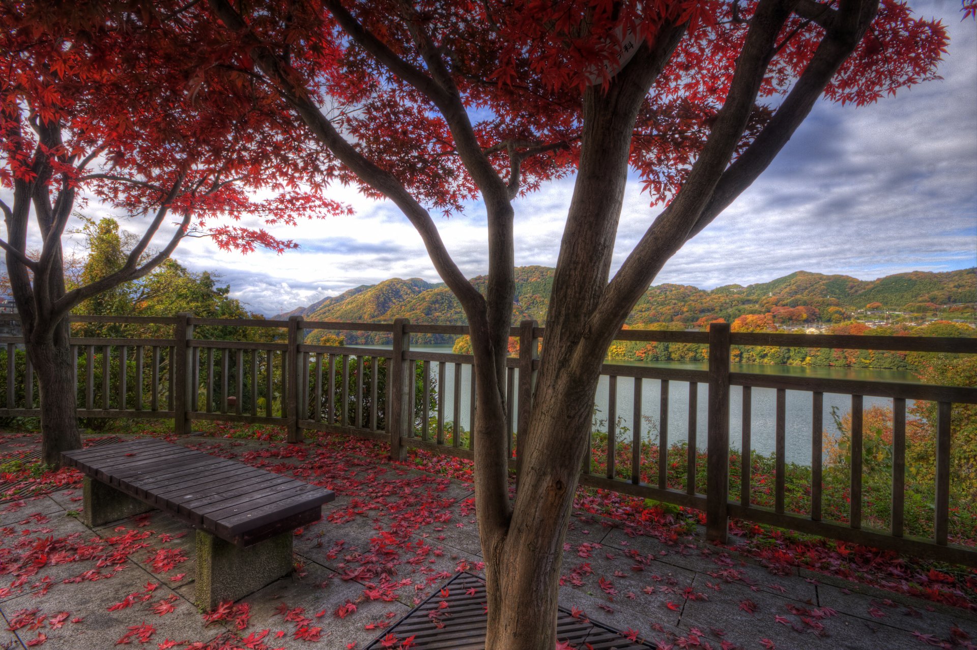 nature autumn village mountain lake foliage beauty of mind bench harmony