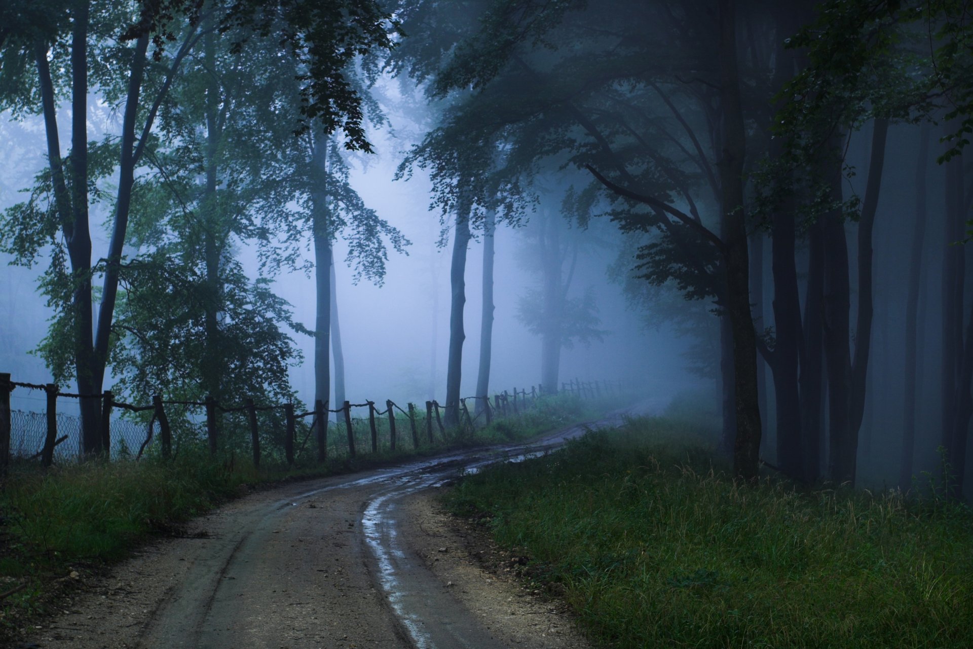 carretera niebla suspenso