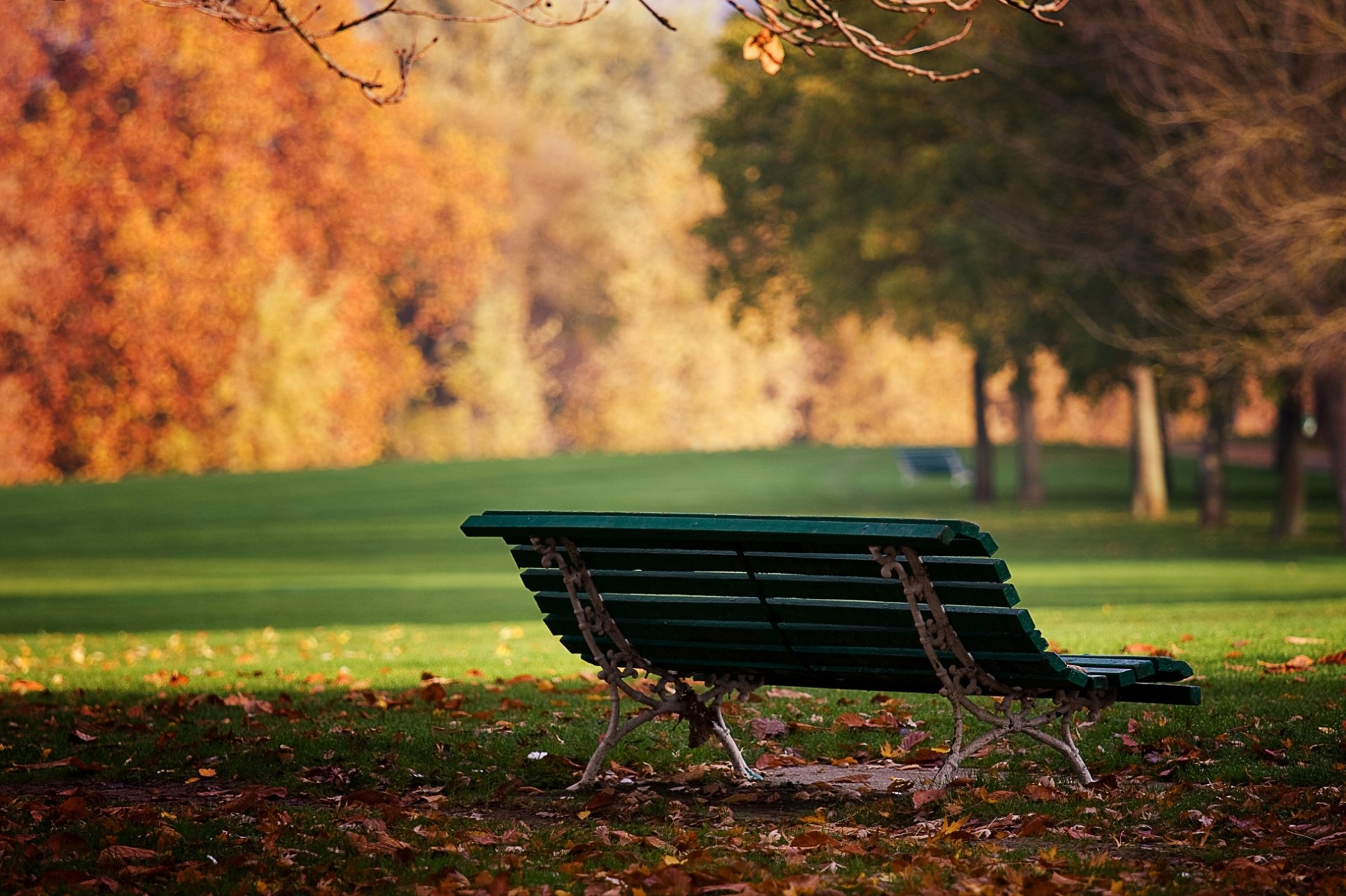 parque banco banco otoño hojas día sol naturaleza estado de ánimo fondo de pantalla