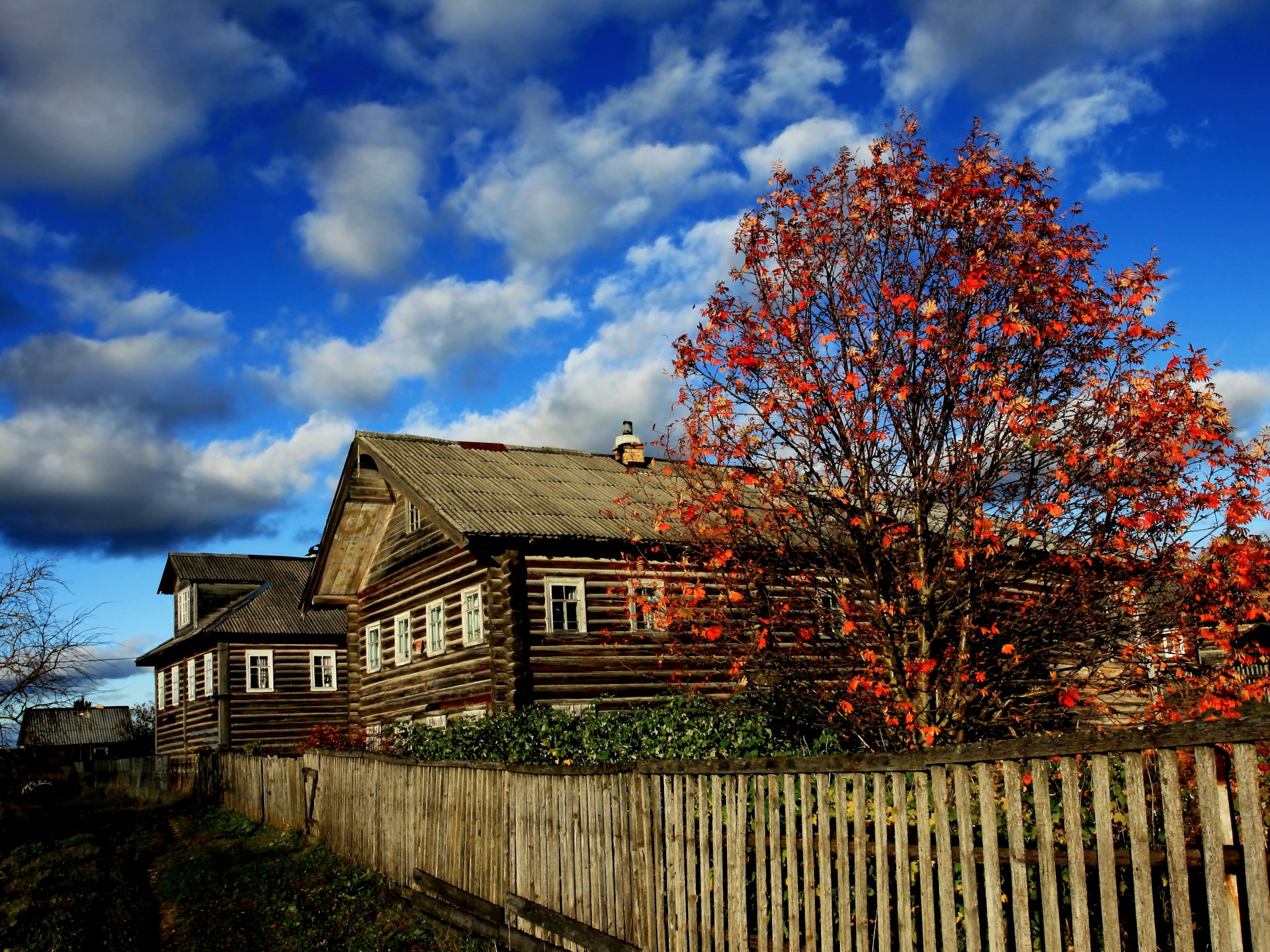 archangelsker dorf russischer norden hütten herbst helle farben