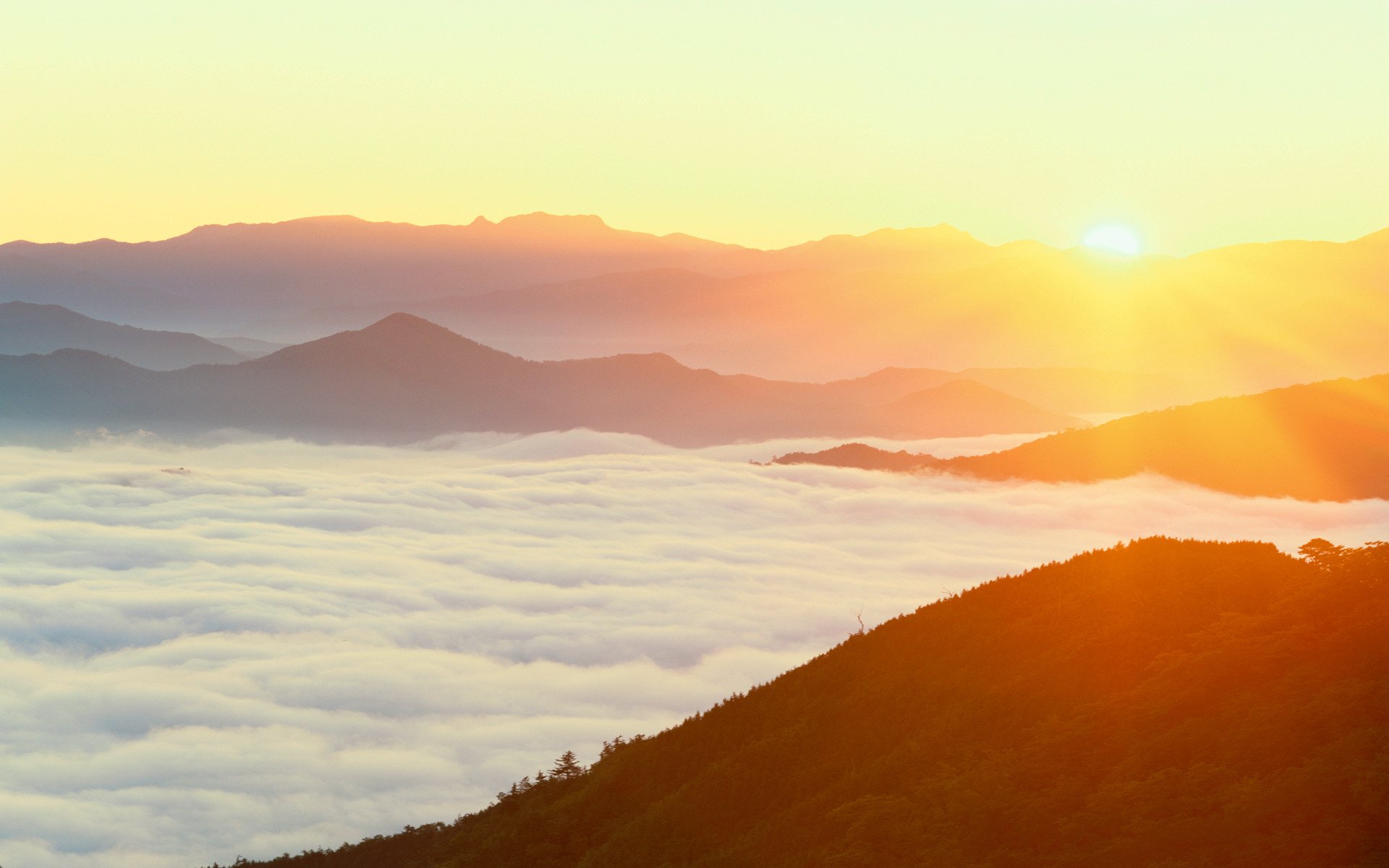 dawn mountain japan fog forest