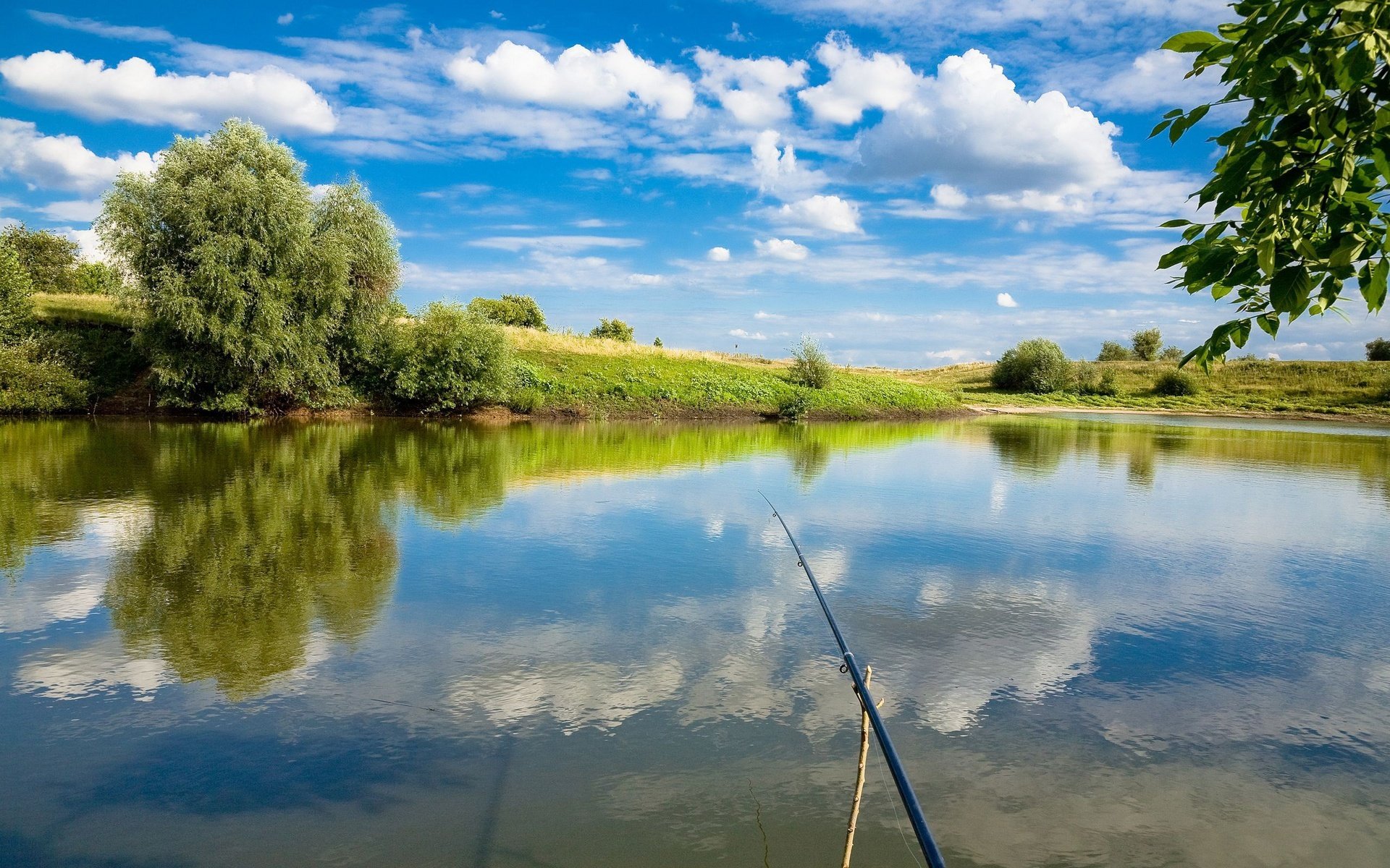 fishing fishing rods first person view