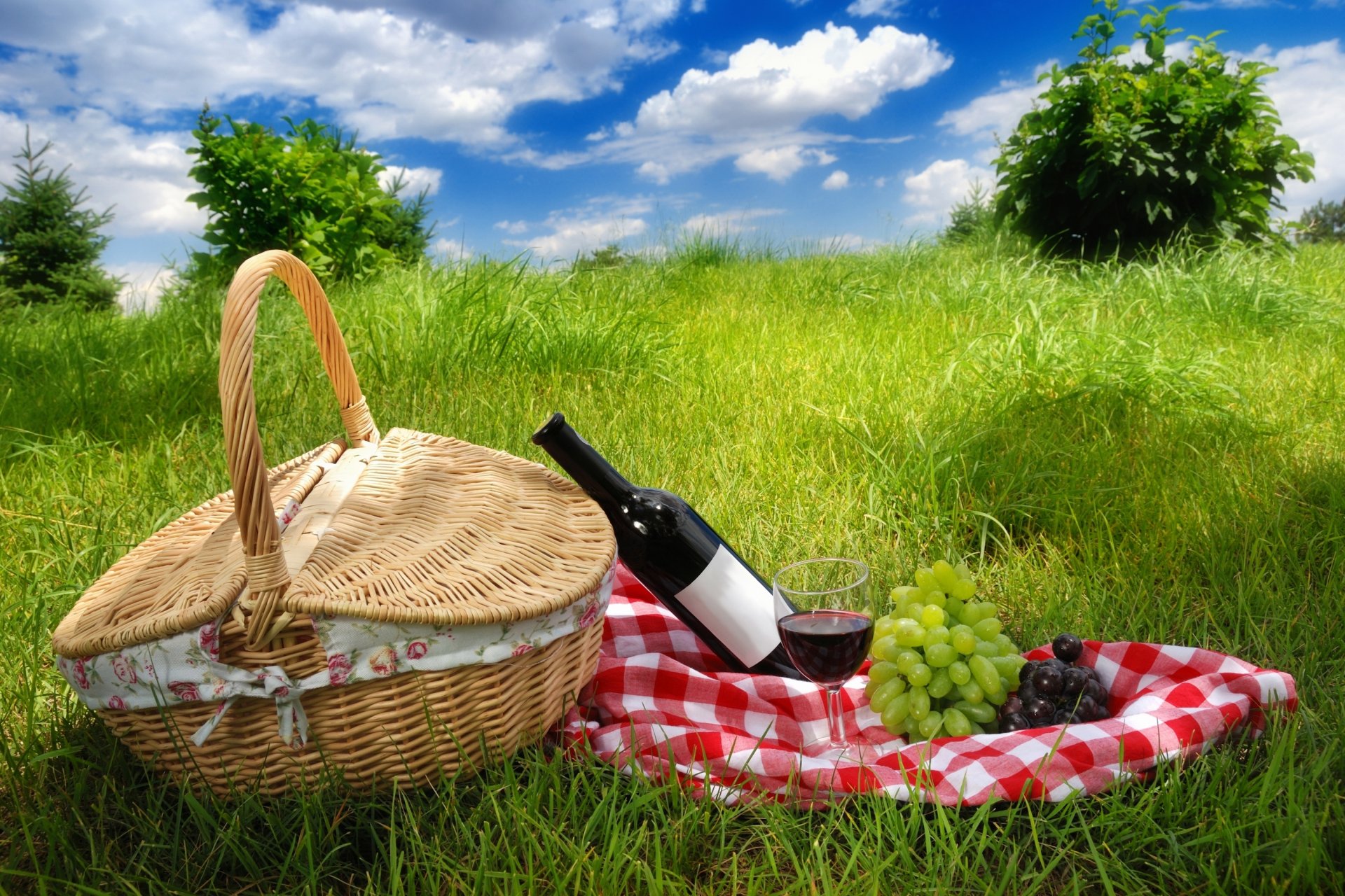 natur landschaft himmel wolken gras frühling wein trauben picknick