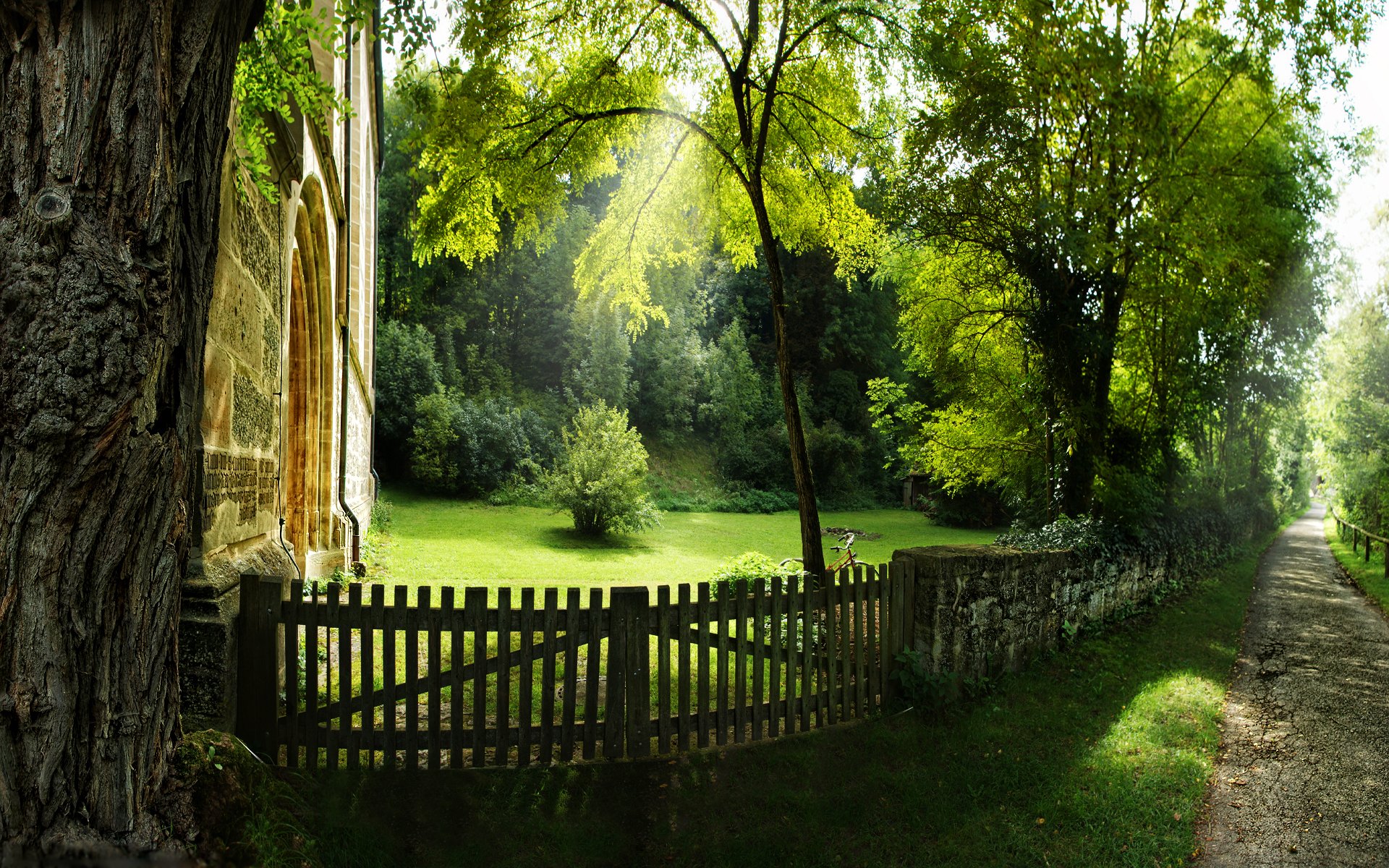 nature tree trees fences alley alleys path paths pathways grass summer spring light rays houses manor bicycles bike