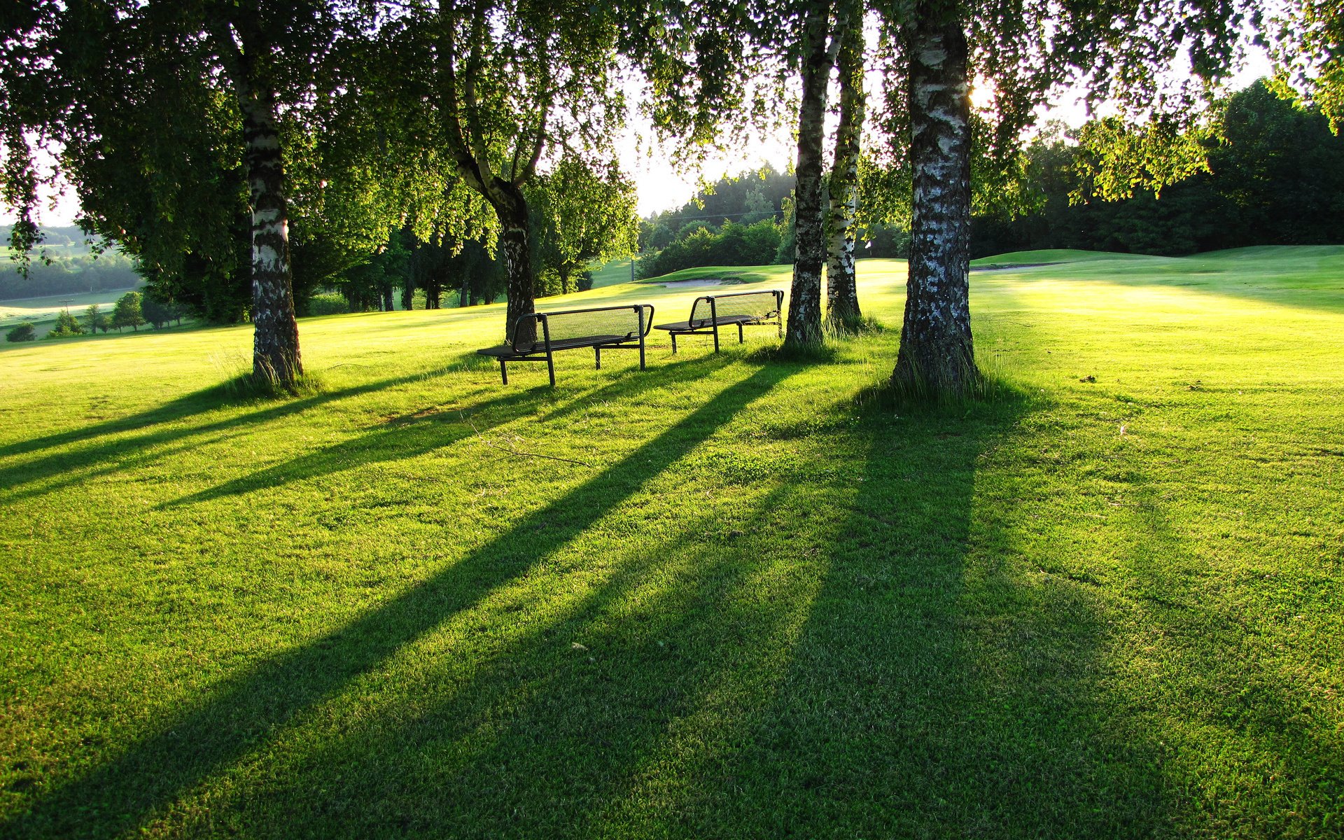 ebene rasen rasen gras grün sommer bänke sonniger tag ansicht laub ferne weite