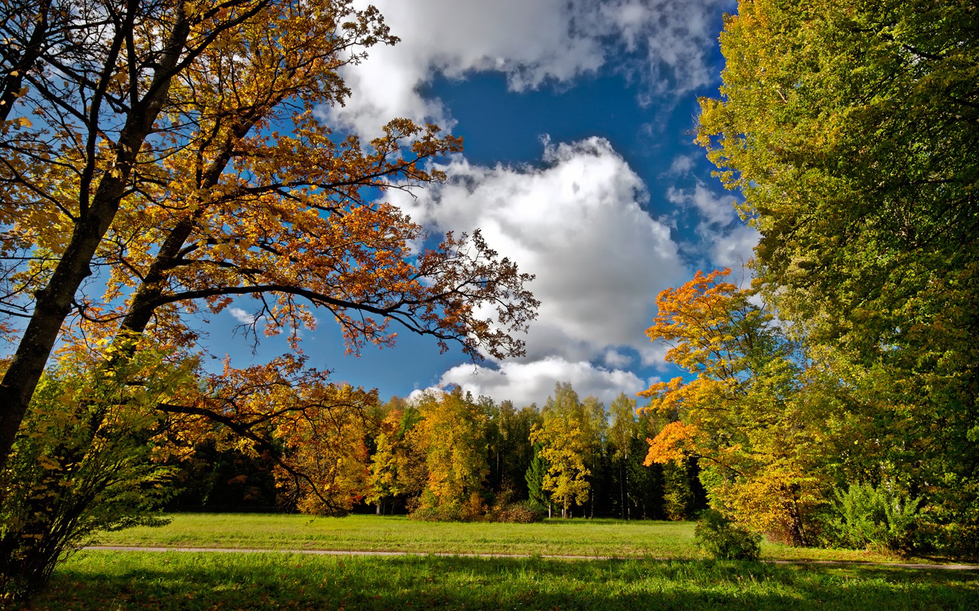 autumn road planting