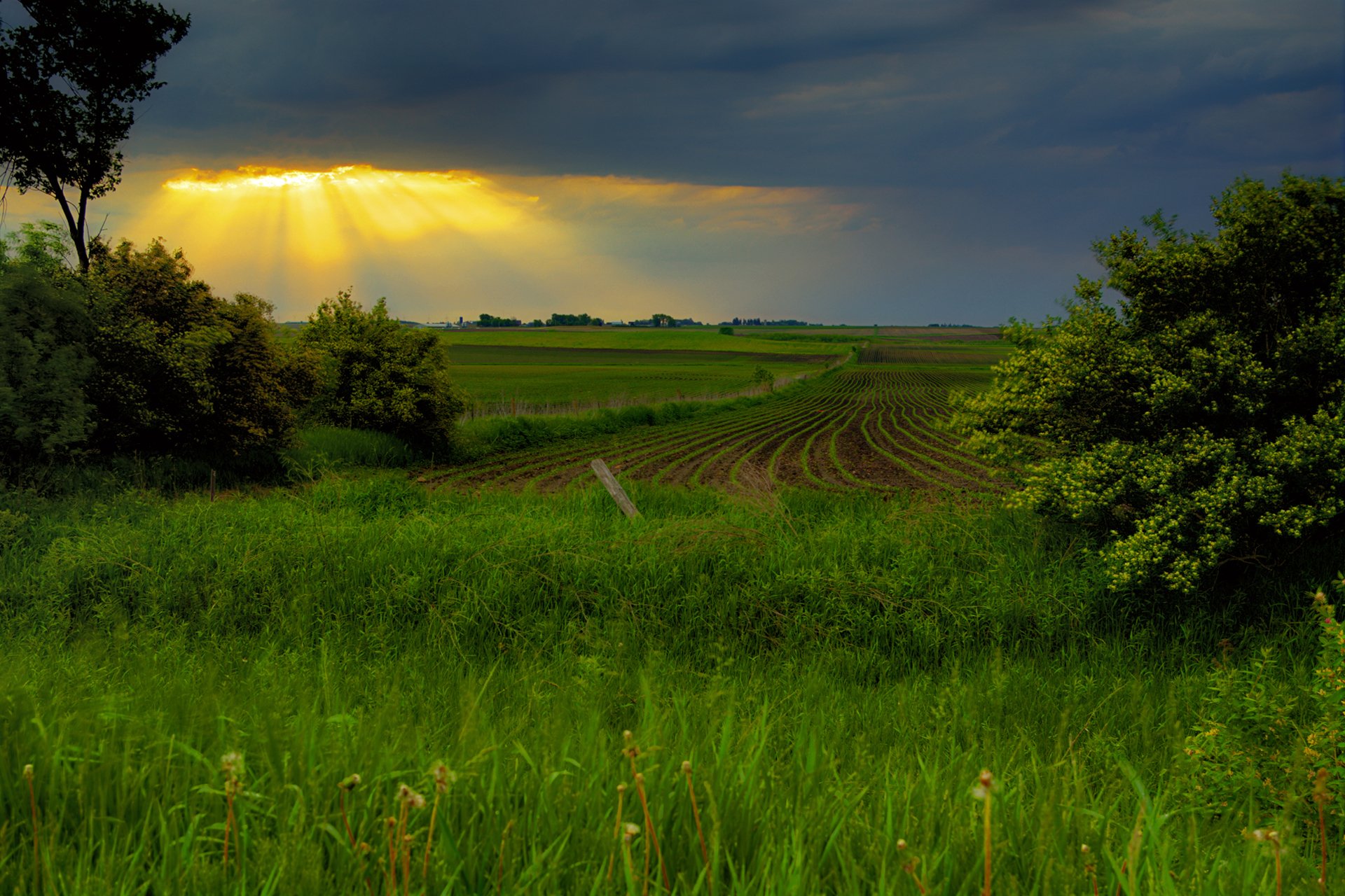 primavera campo puesta de sol cielo