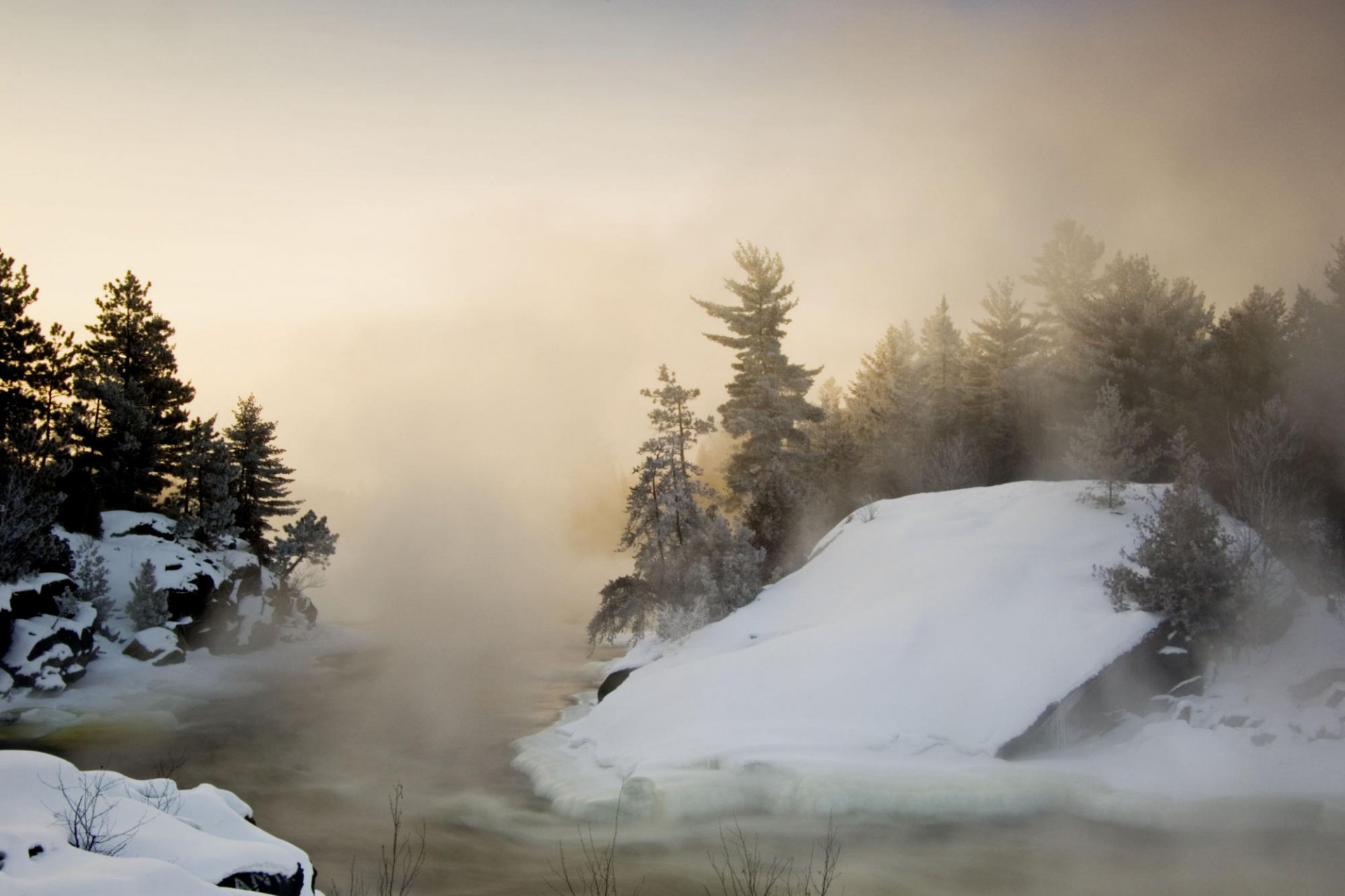 nature paysages neige hiver froid arbres beauté