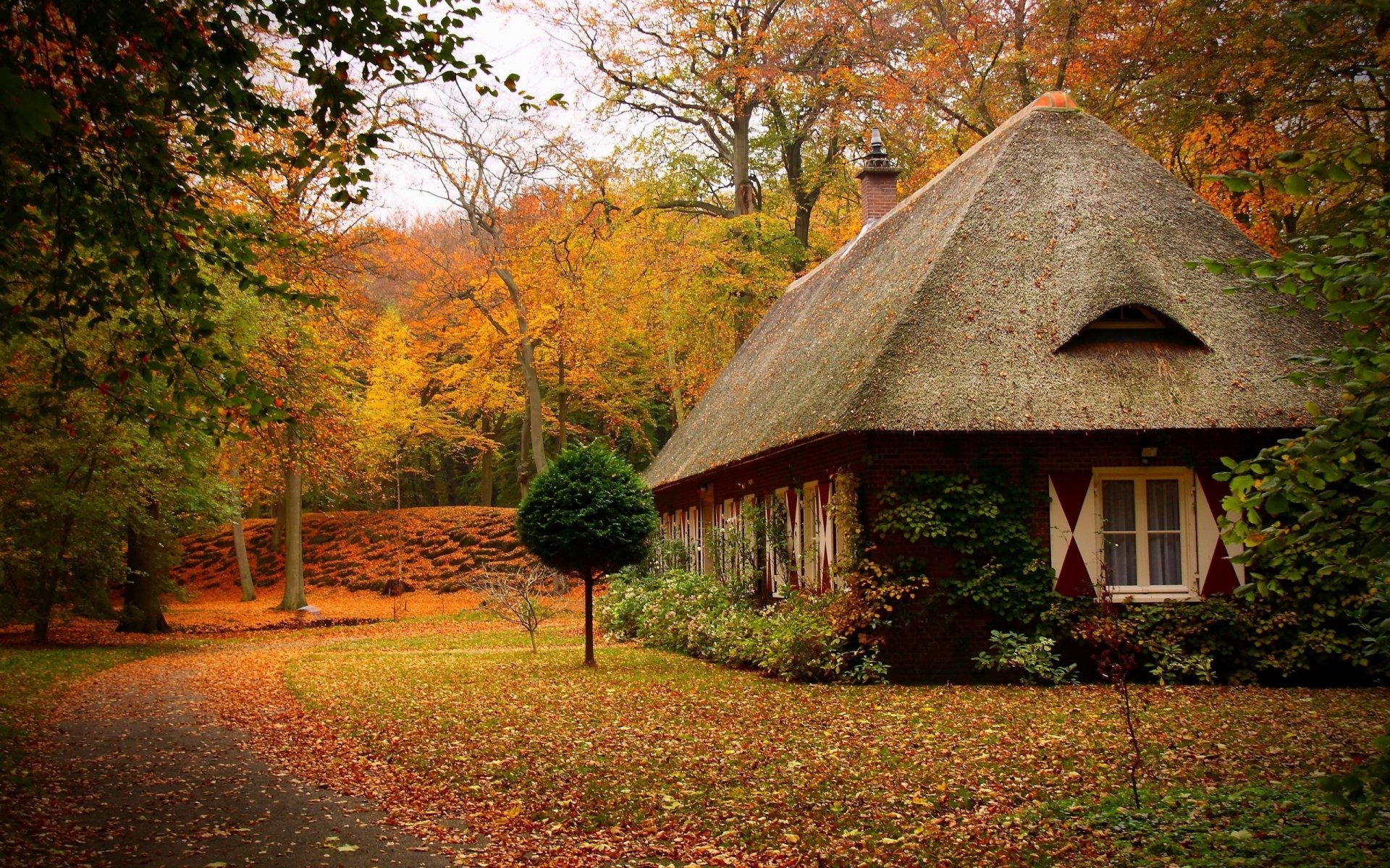 autunno parco sentiero erba sentiero piazza casa alberi foglie vicolo natura