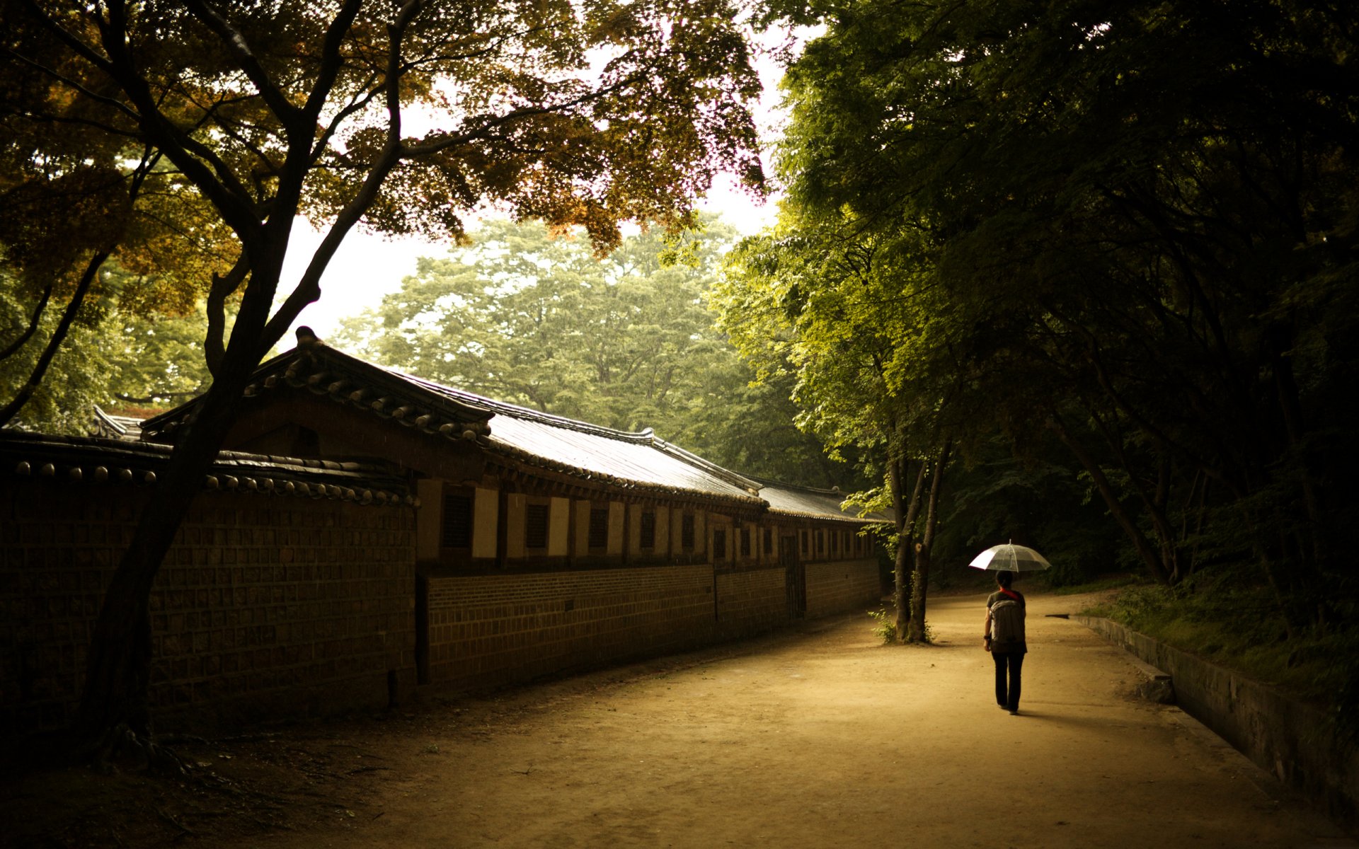 girl umbrella wall changdeok palace palace of prosperous virtue changdeokkun seoul korea