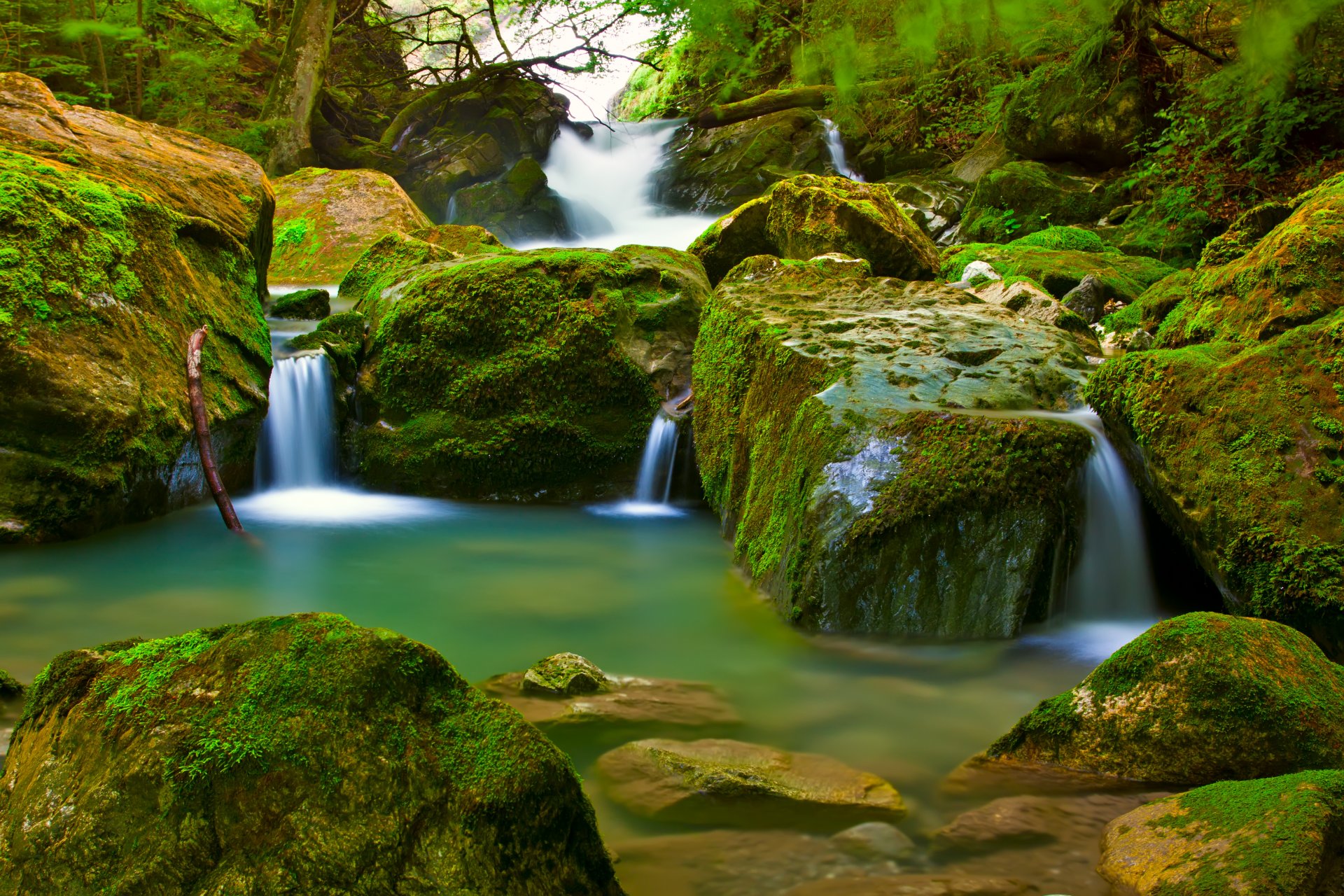 cascada bosque musgo