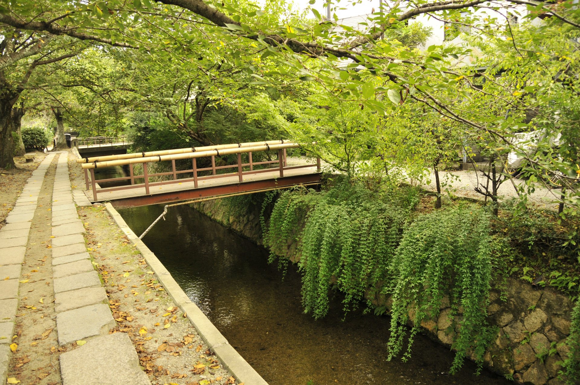 kyoto киото япония мост деревья восток