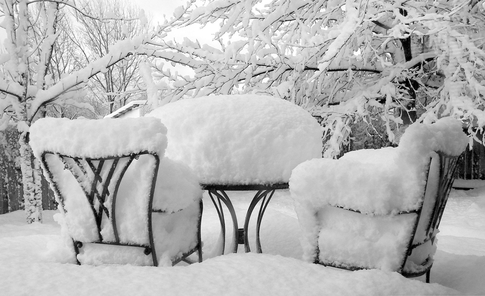 natura inverno neve gelo tavolo sedie alberi foto sfondo carta da parati