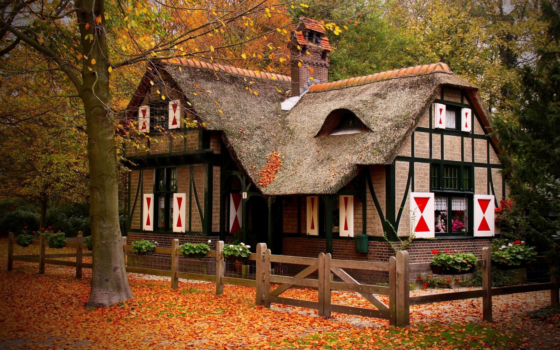 autunno parco casa alberi foglie erba recinzione fiori natura