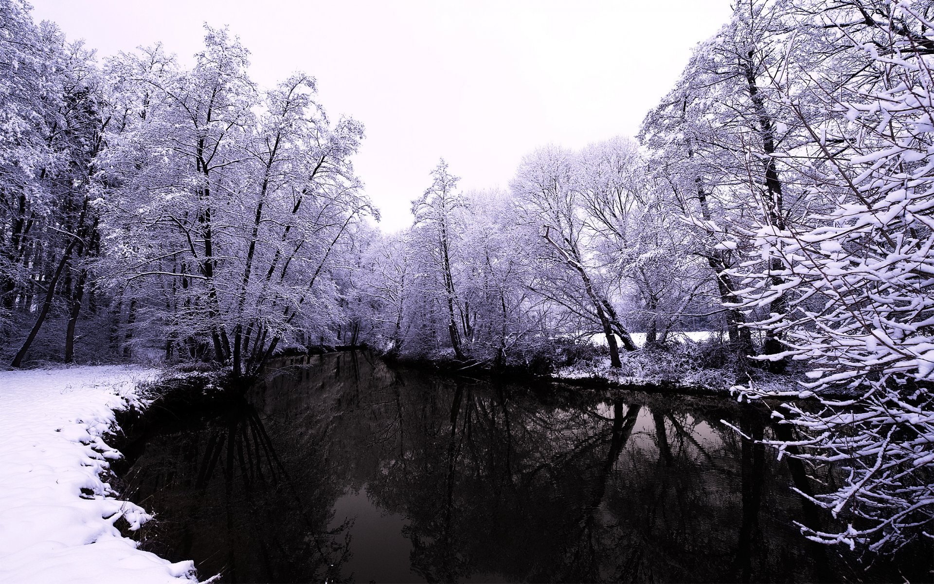 hiver nature forêt rivière neige arbres eau