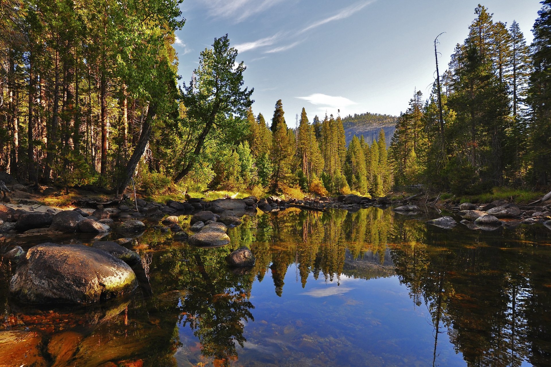 nature lake stones forest