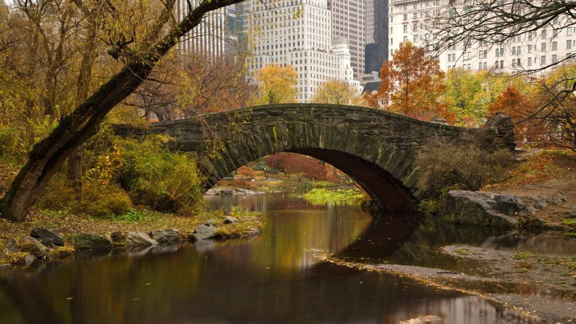 puente río nueva york primavera árboles hojas ciudad casas