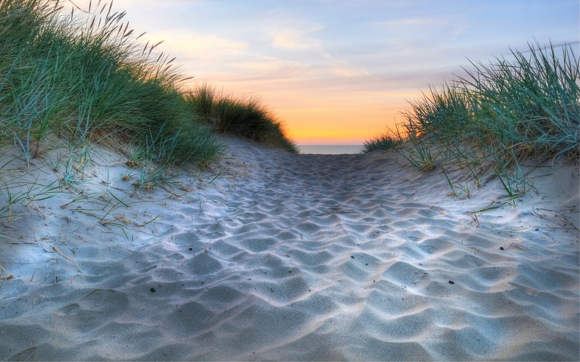 nature gros plan plages sable sables côte côte mer eau horizon herbe océan herbe herbe