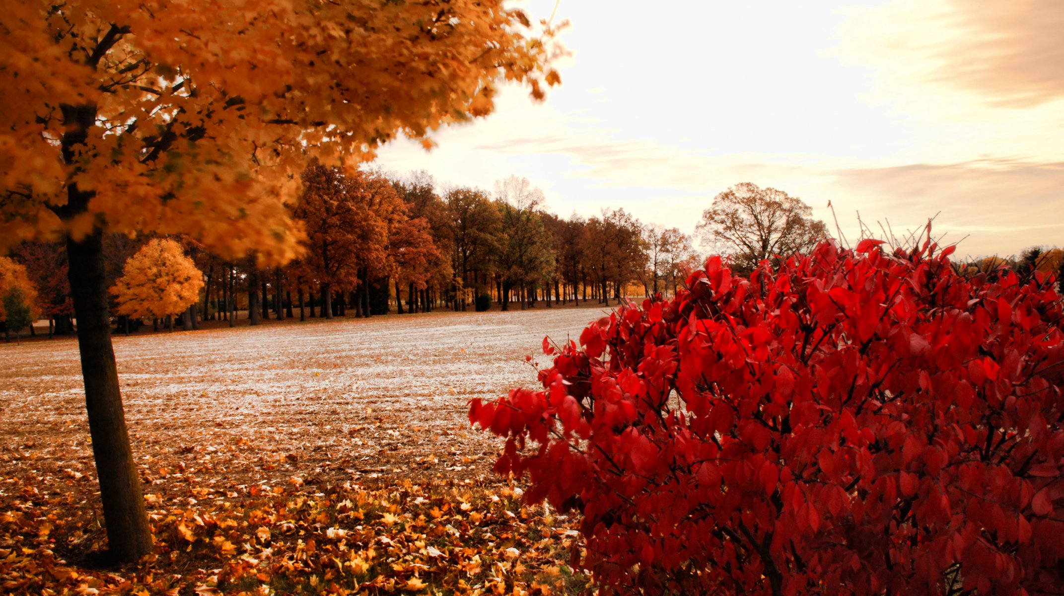 sturmwarnung park herbst