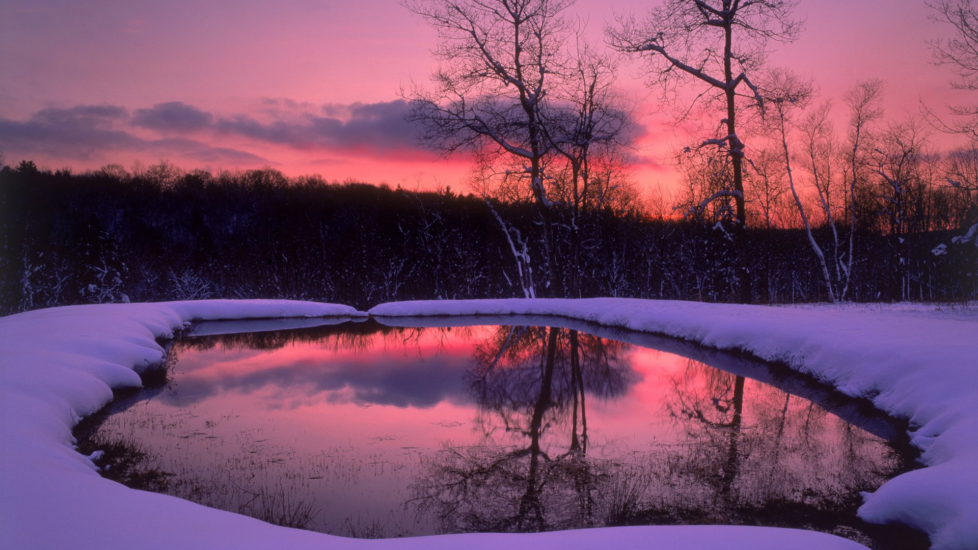 schnee see bäume wald abend winter