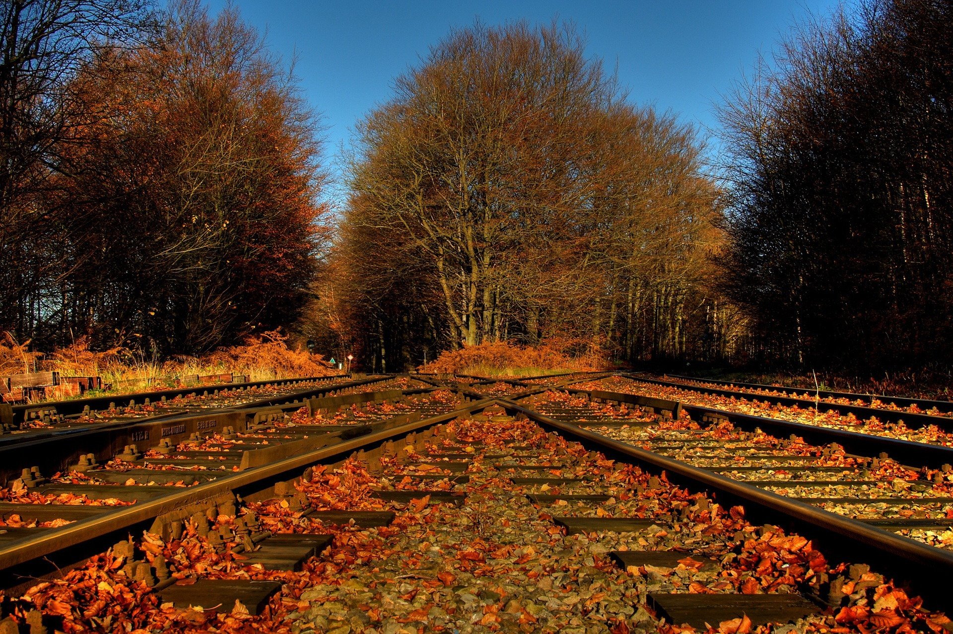 otoño ferrocarril hojas naturaleza