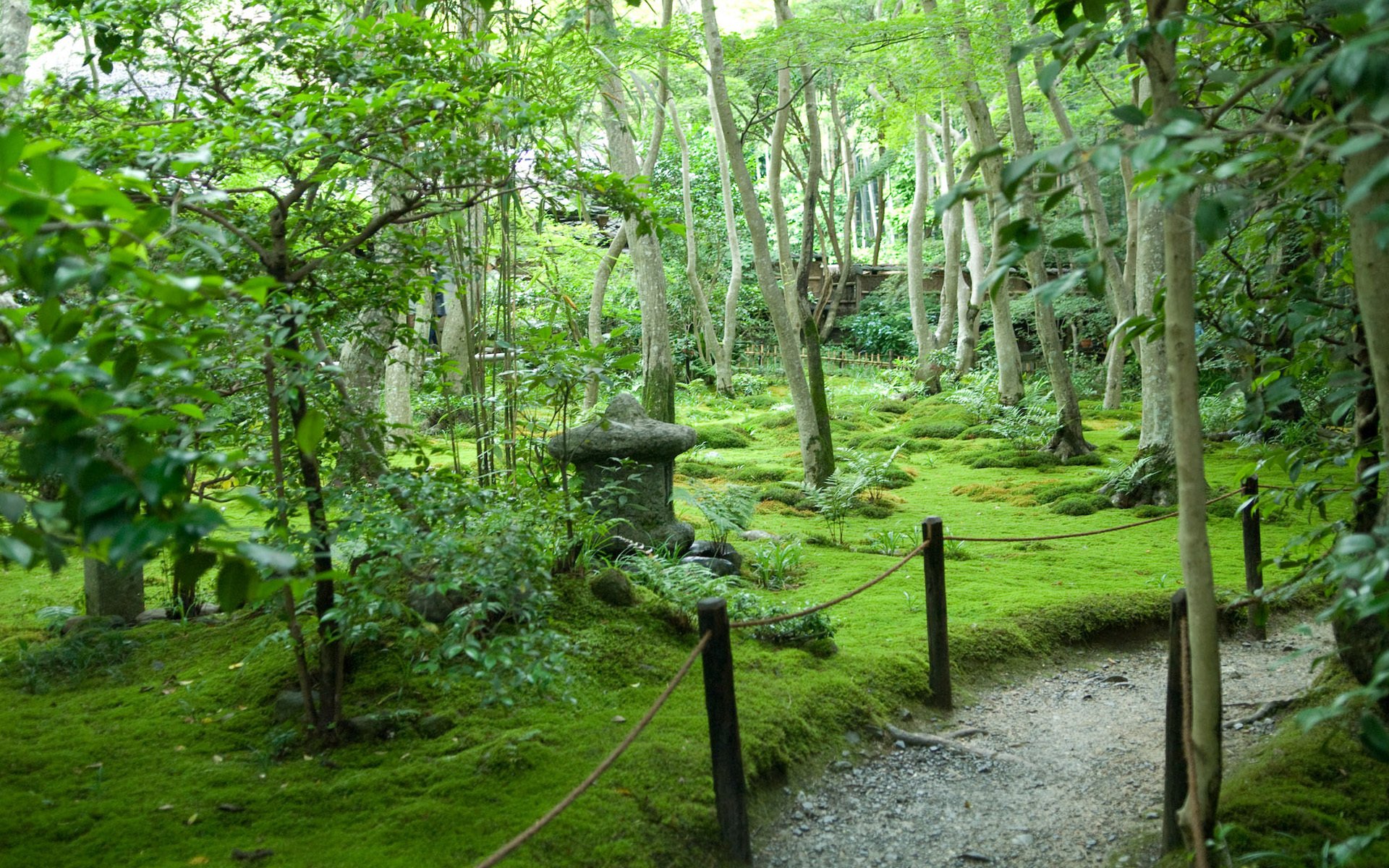 japan garten fußweg sommer bäume