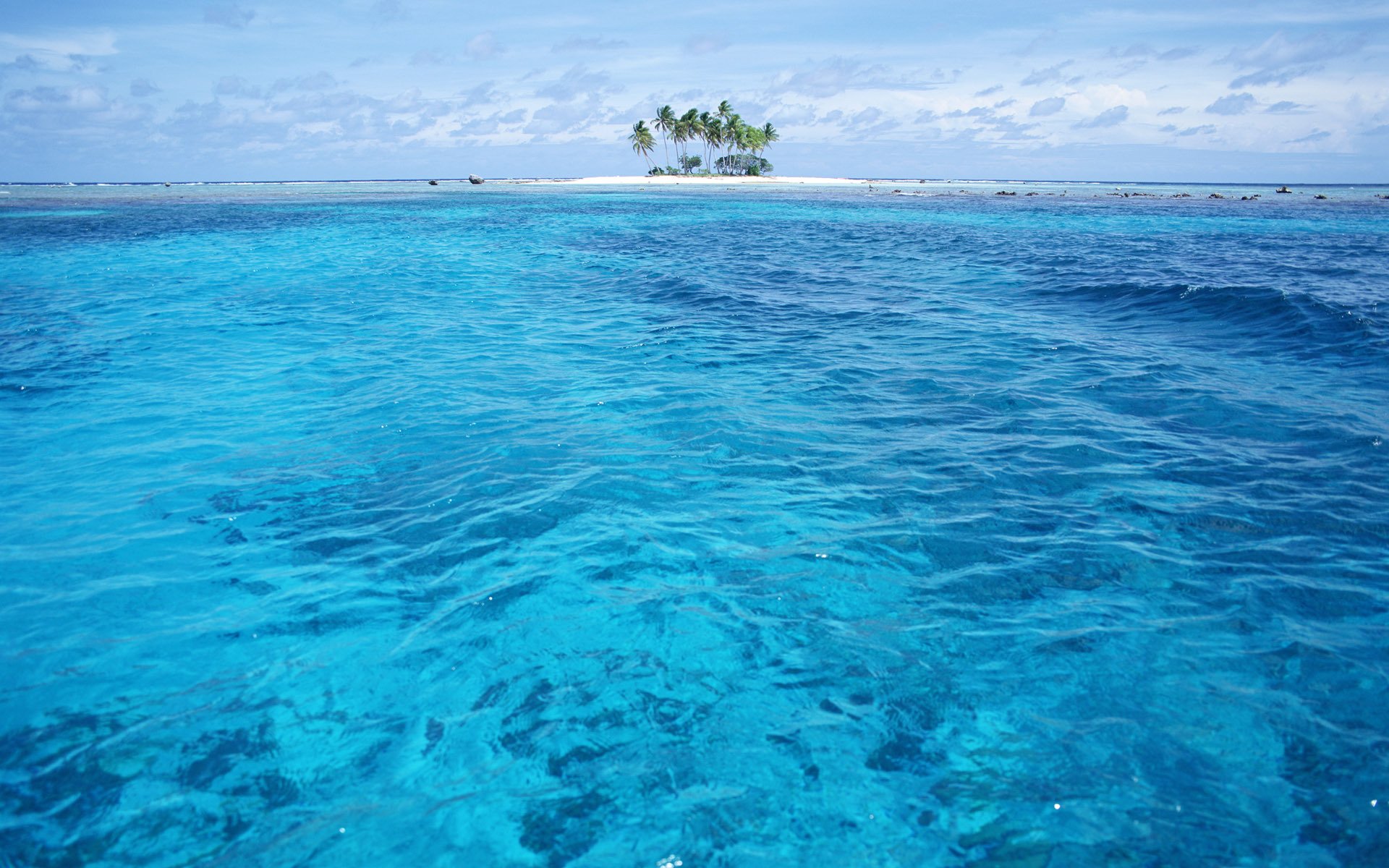 oceano isola palme