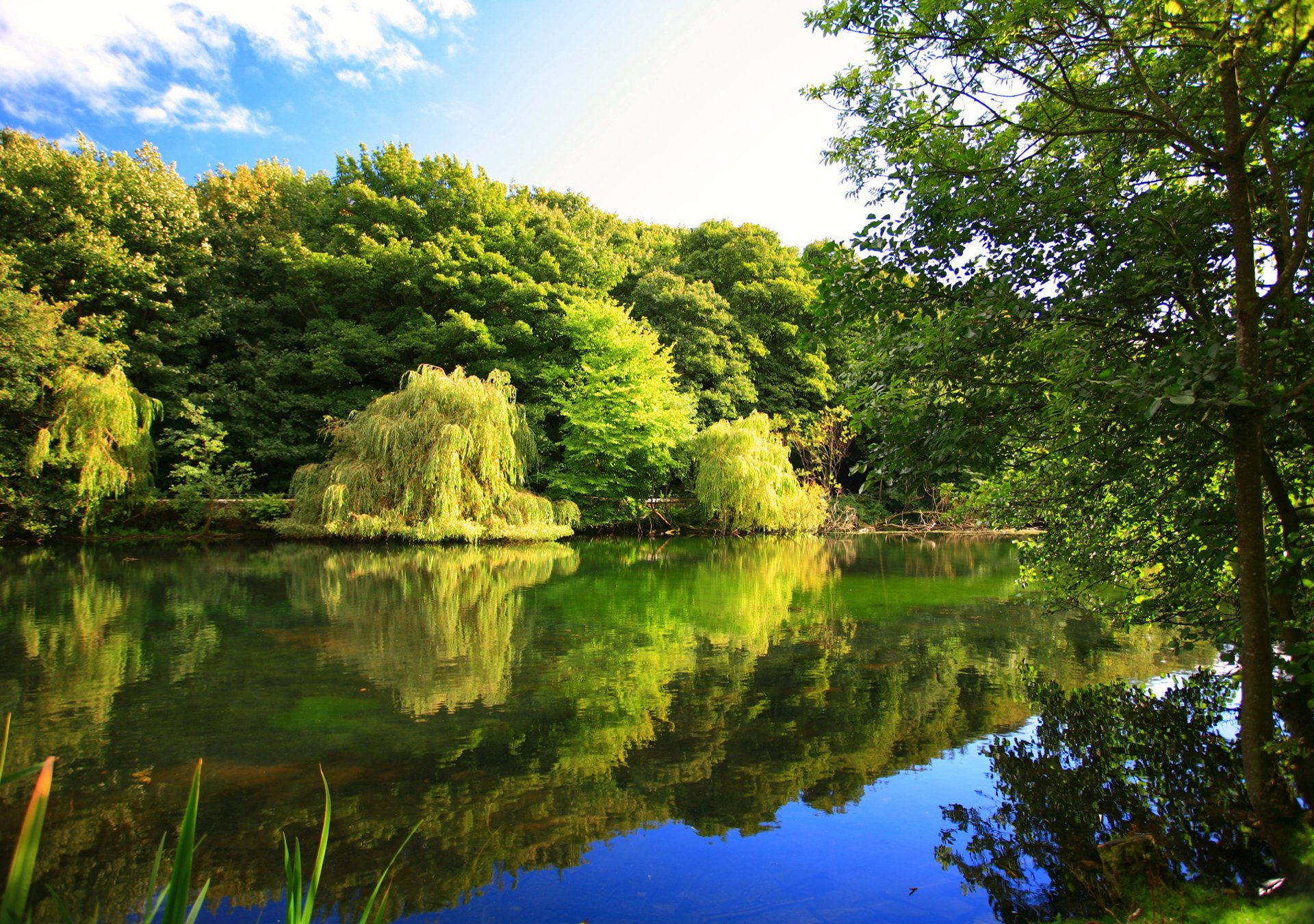 natura jesień rzeka drzewa