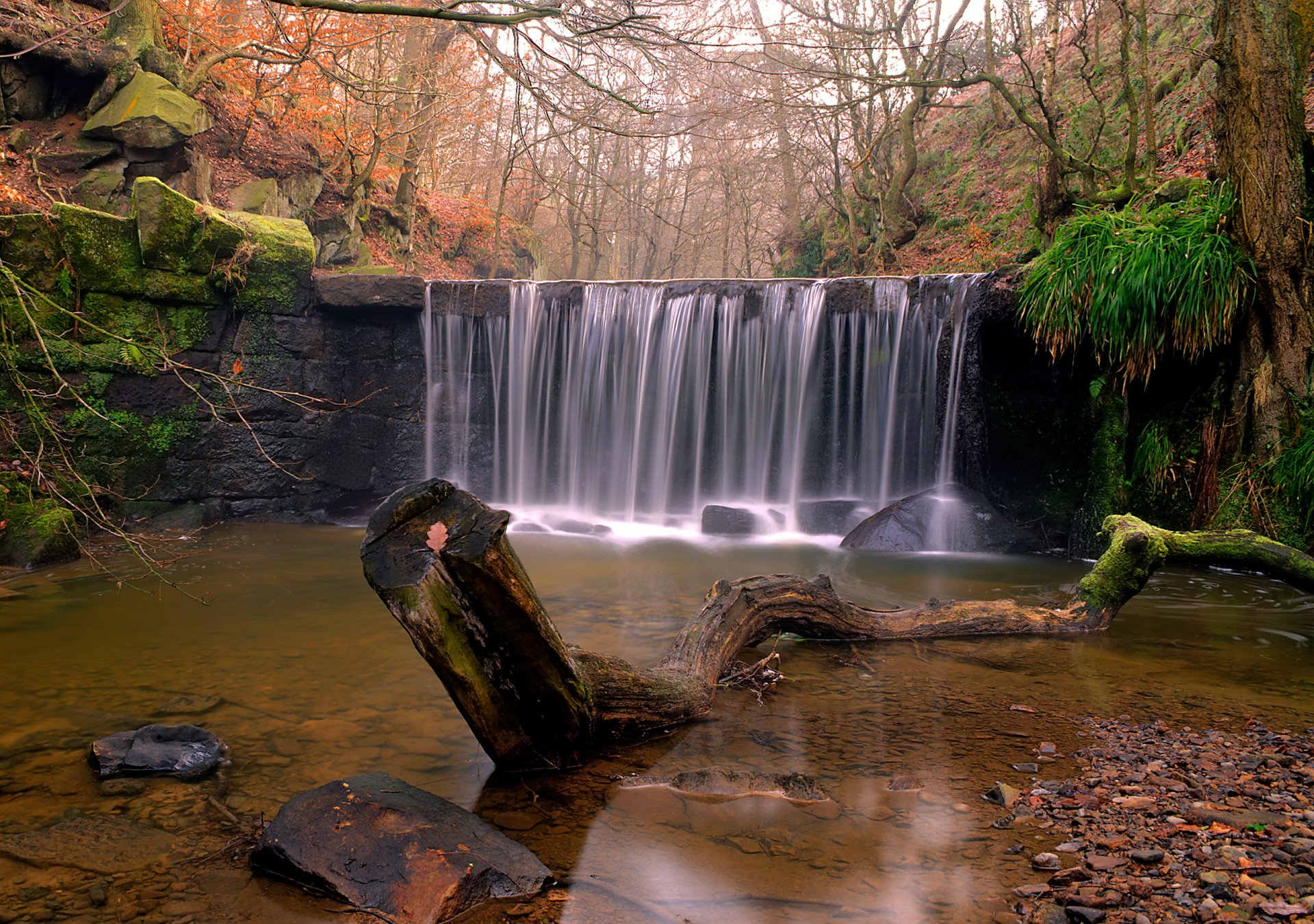 naturaleza bosque río cascada madera flotante piedras otoño