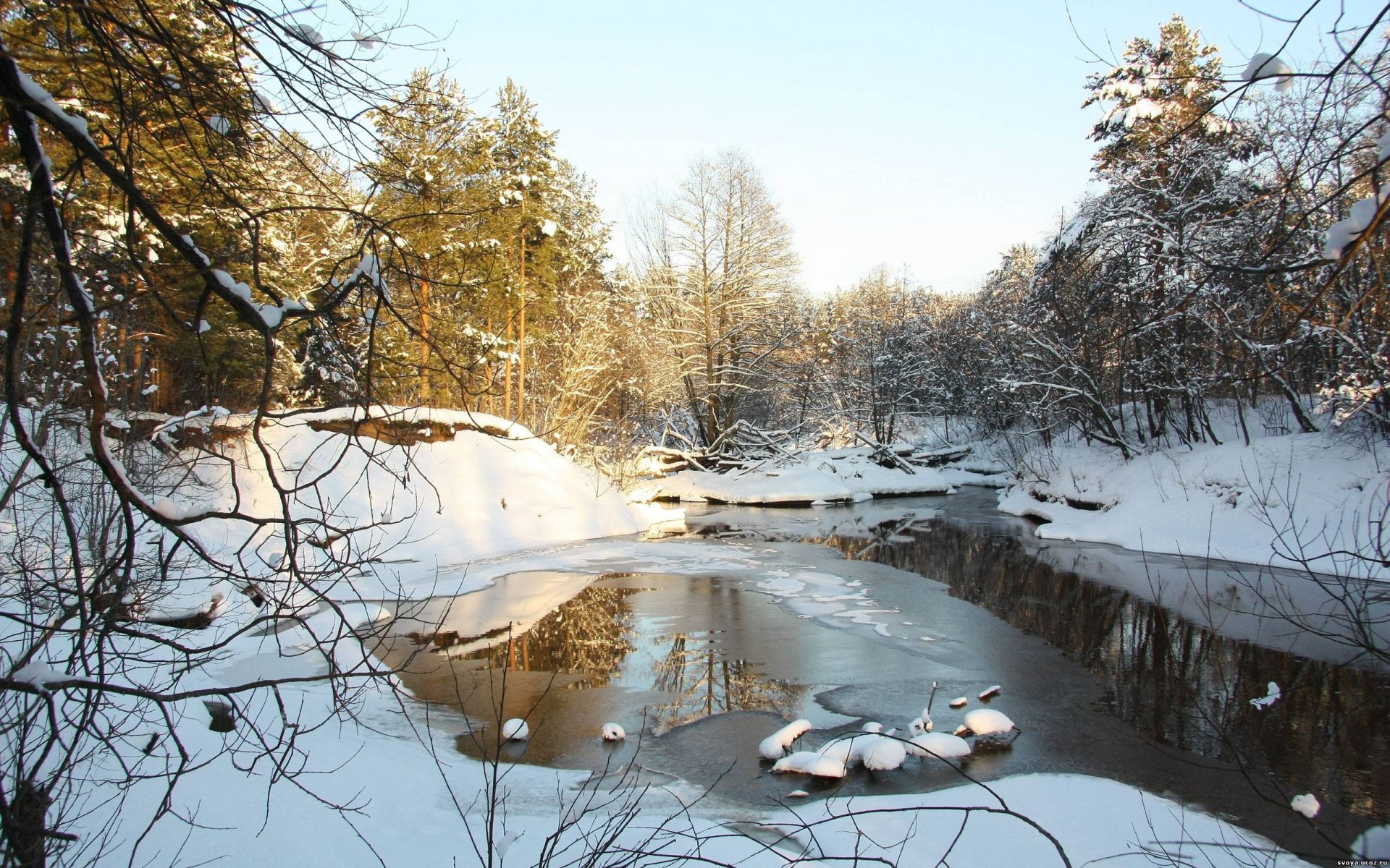 nature tree snow dowa spring