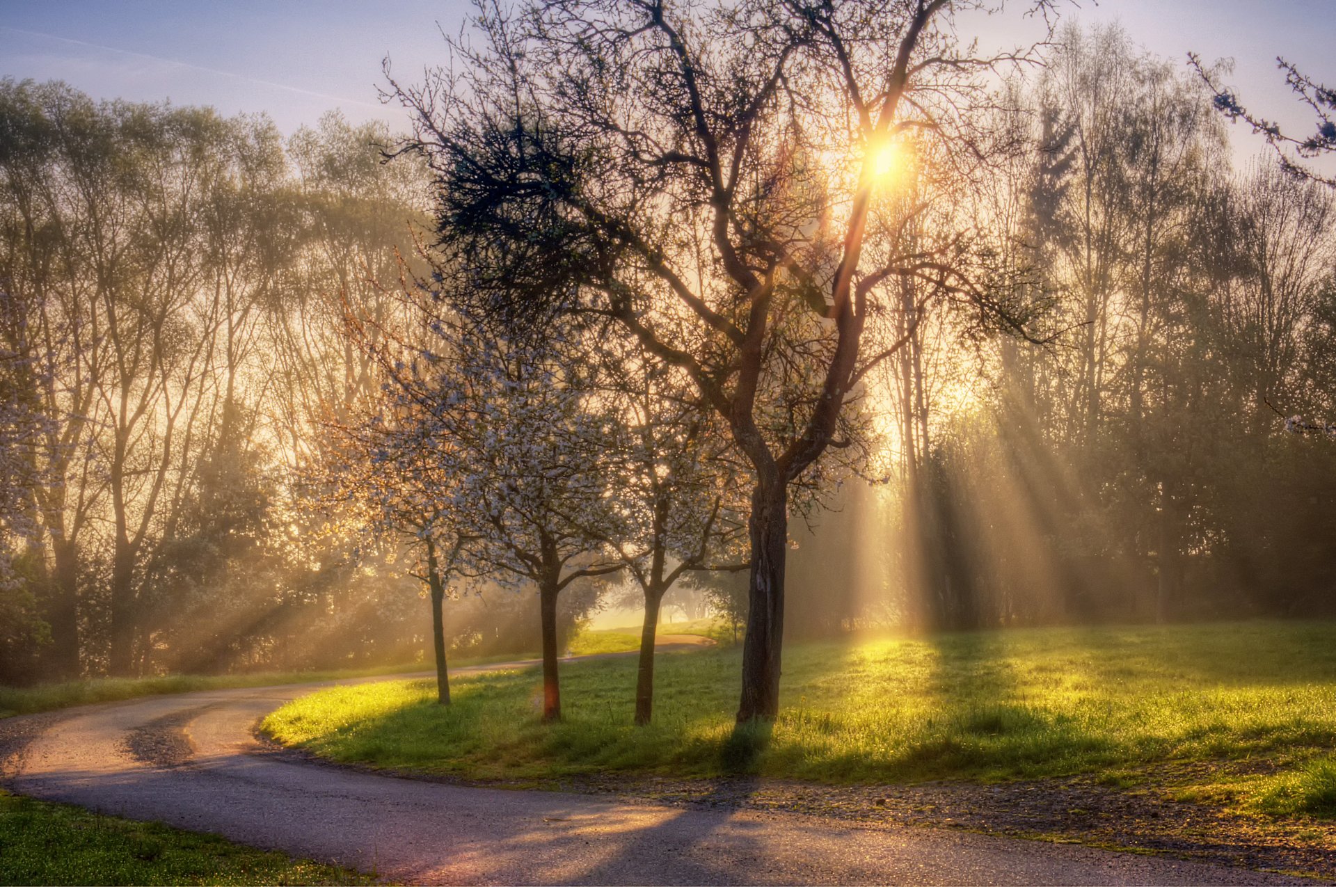 natura primavera sole luce raggi strada