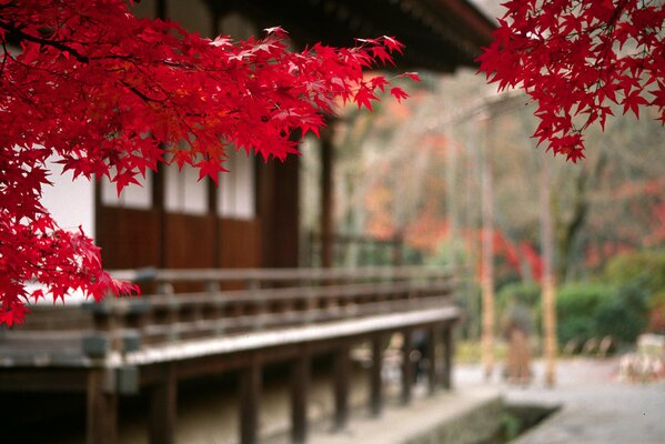 Traditionelle japanische Landschaft in Herbsttönen