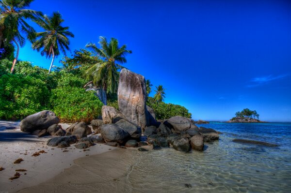 Eine Insel mit Palmen am Meer