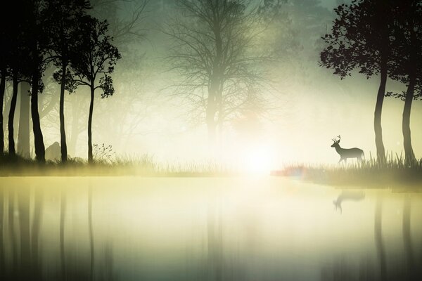 A picture of a forest with a pond and a deer on the shore