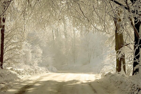 Winter road with bright light