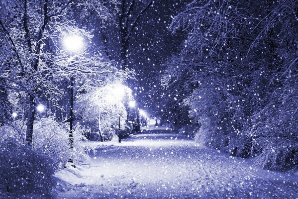 Calle de invierno en el parque con nieve