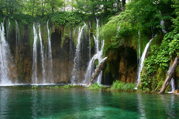 Waterfall landscape with greenery in nature