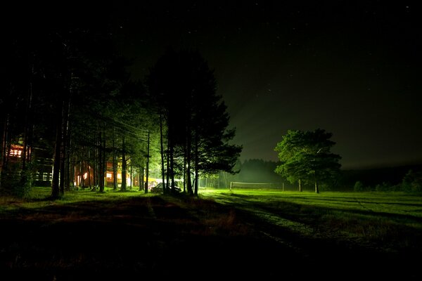 Champ de verdure nuit et lueur