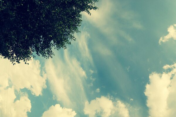 Weiße Wolken am Himmel und ein Stück Holz