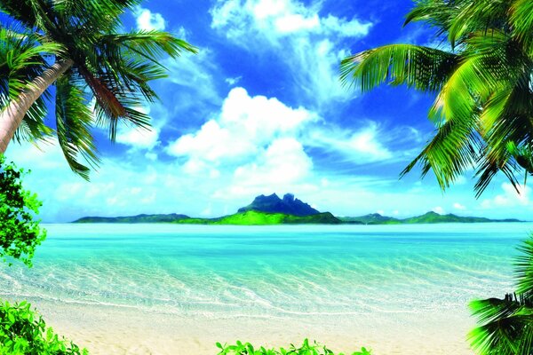 Morning view of the island, palm trees and the sea