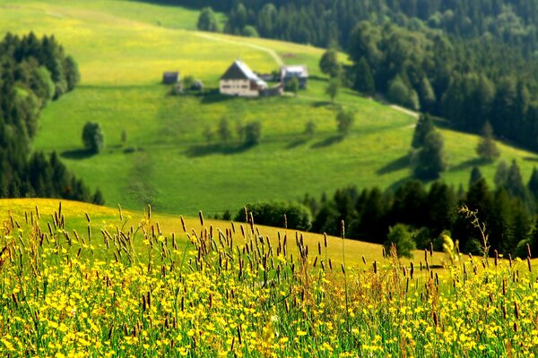 Native house on the mountainside